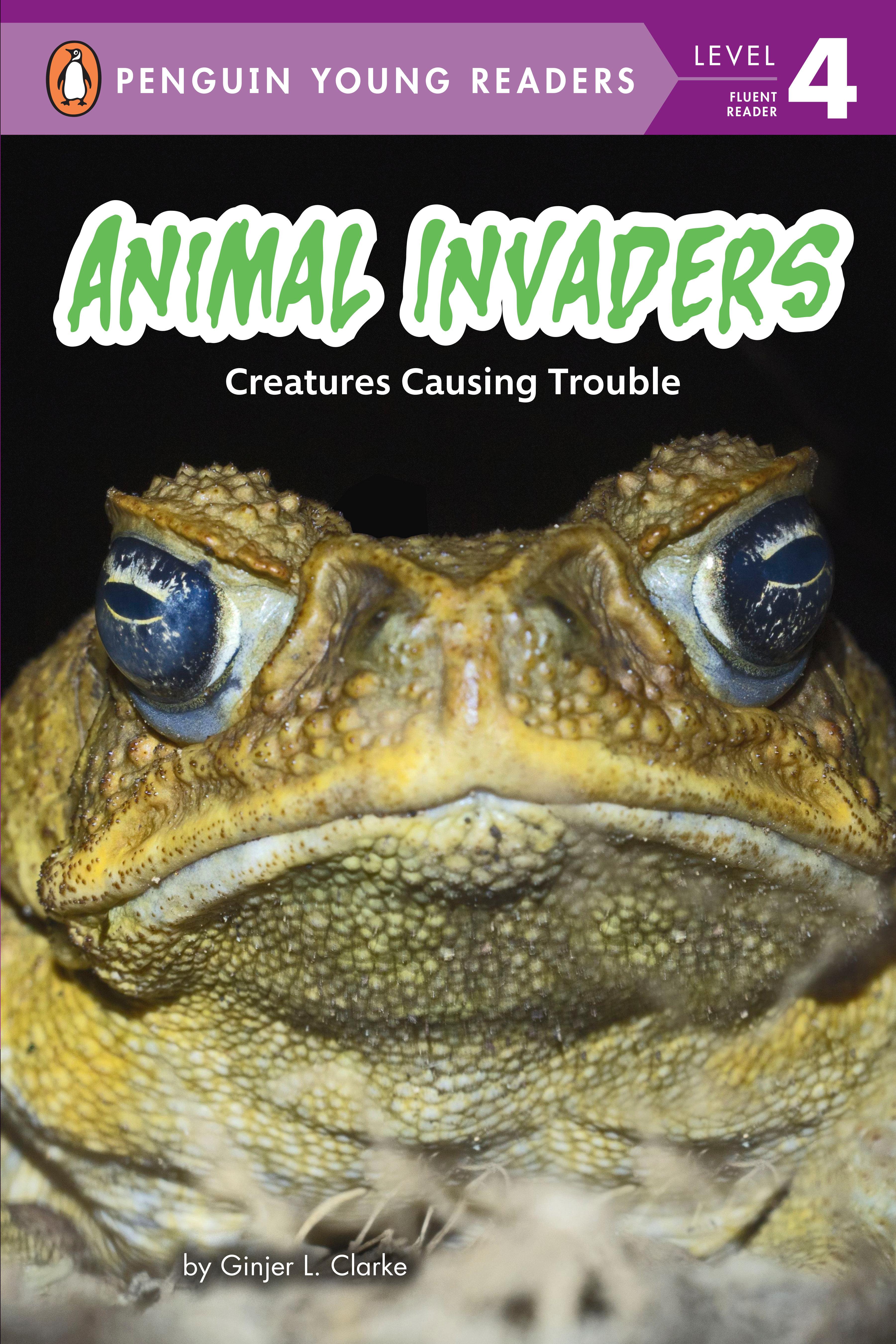 Vorderes Coverbild Animal Invaders