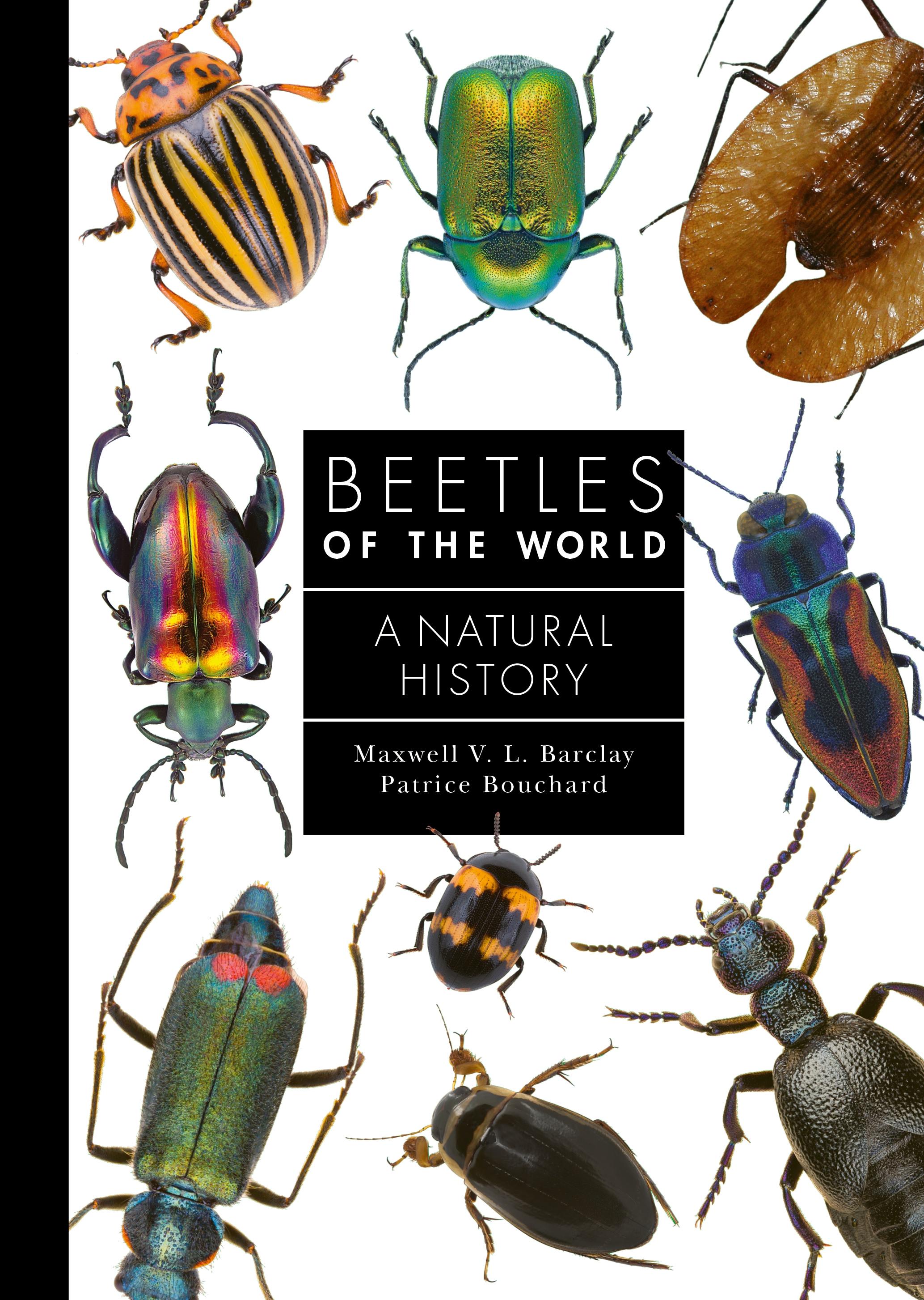 Vorderes Coverbild Beetles of the World