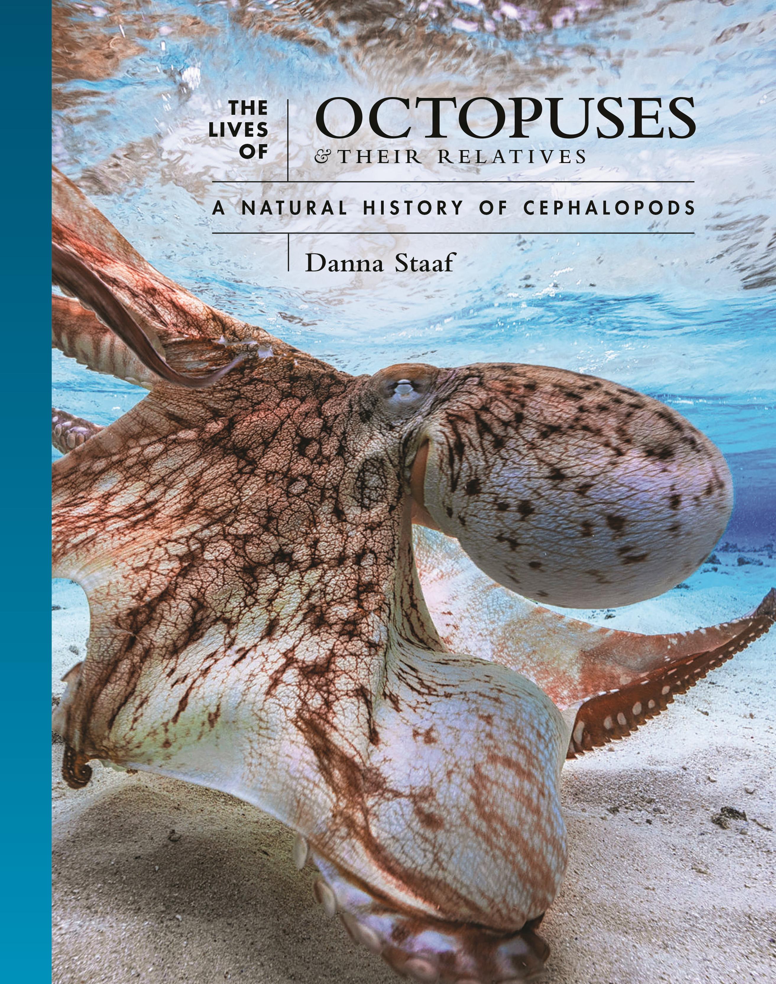 Vorderes Coverbild The Lives of Octopuses and Their Relatives