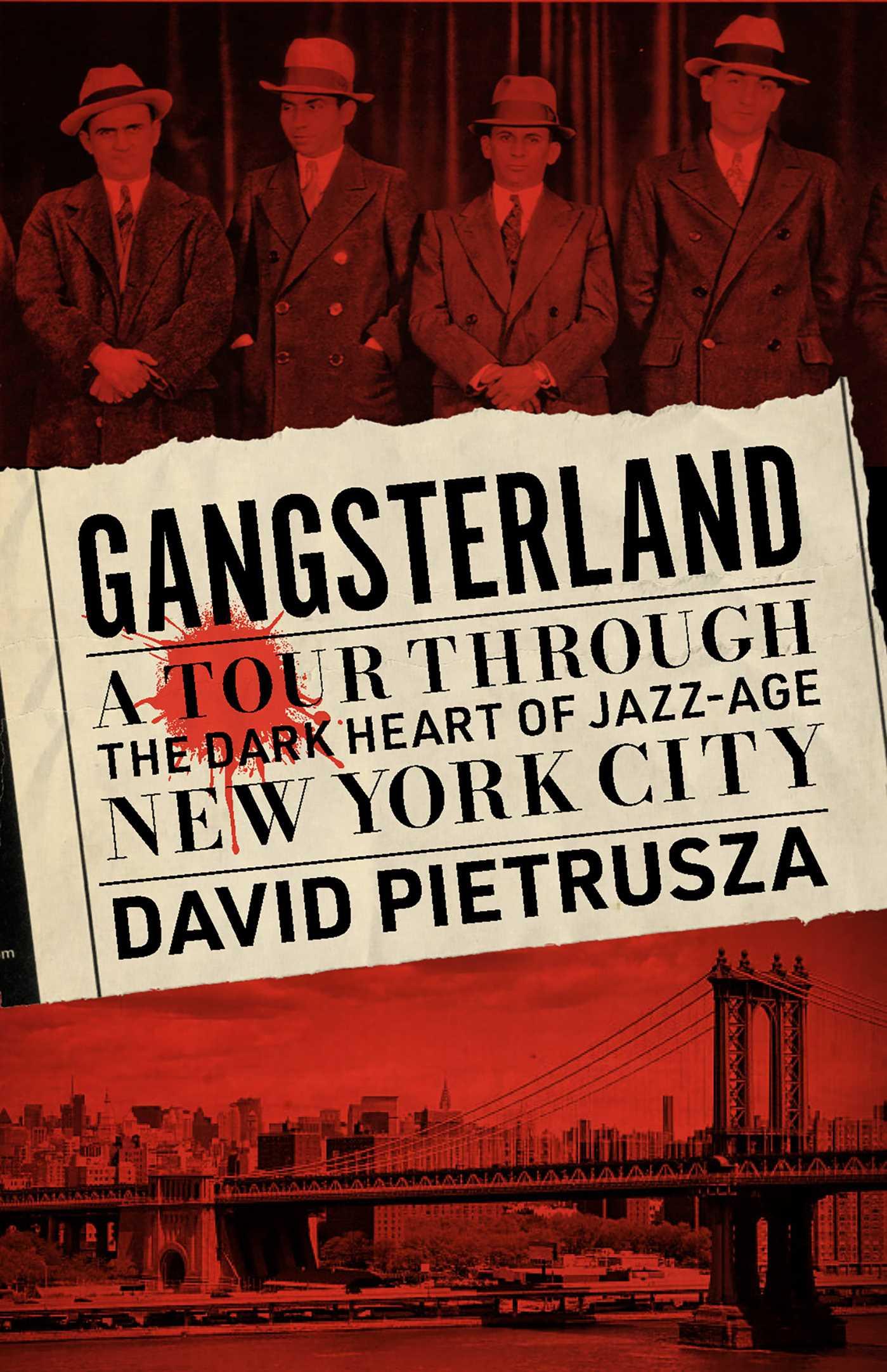 Vorderes Coverbild Gangsterland