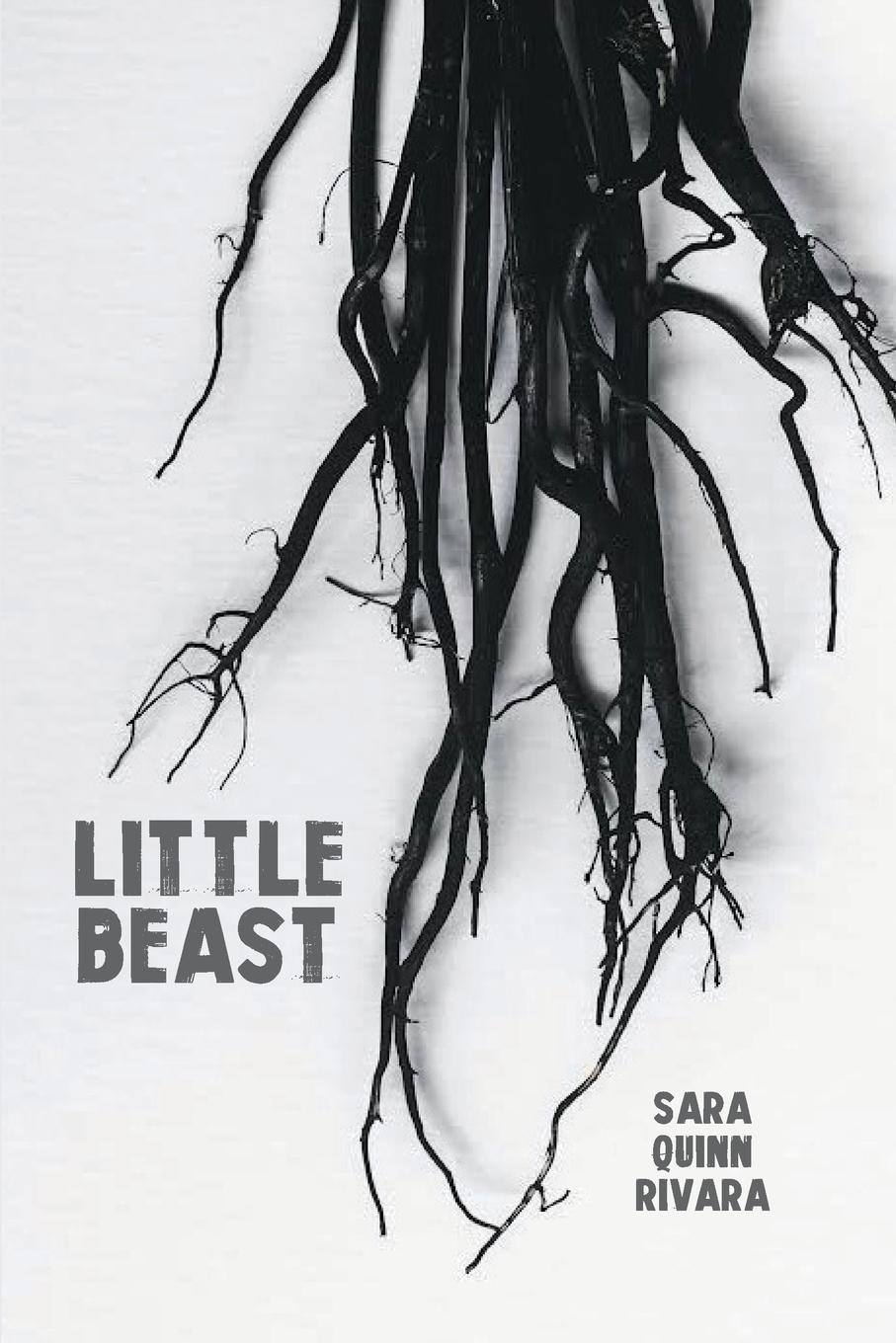Vorderes Coverbild Little Beast