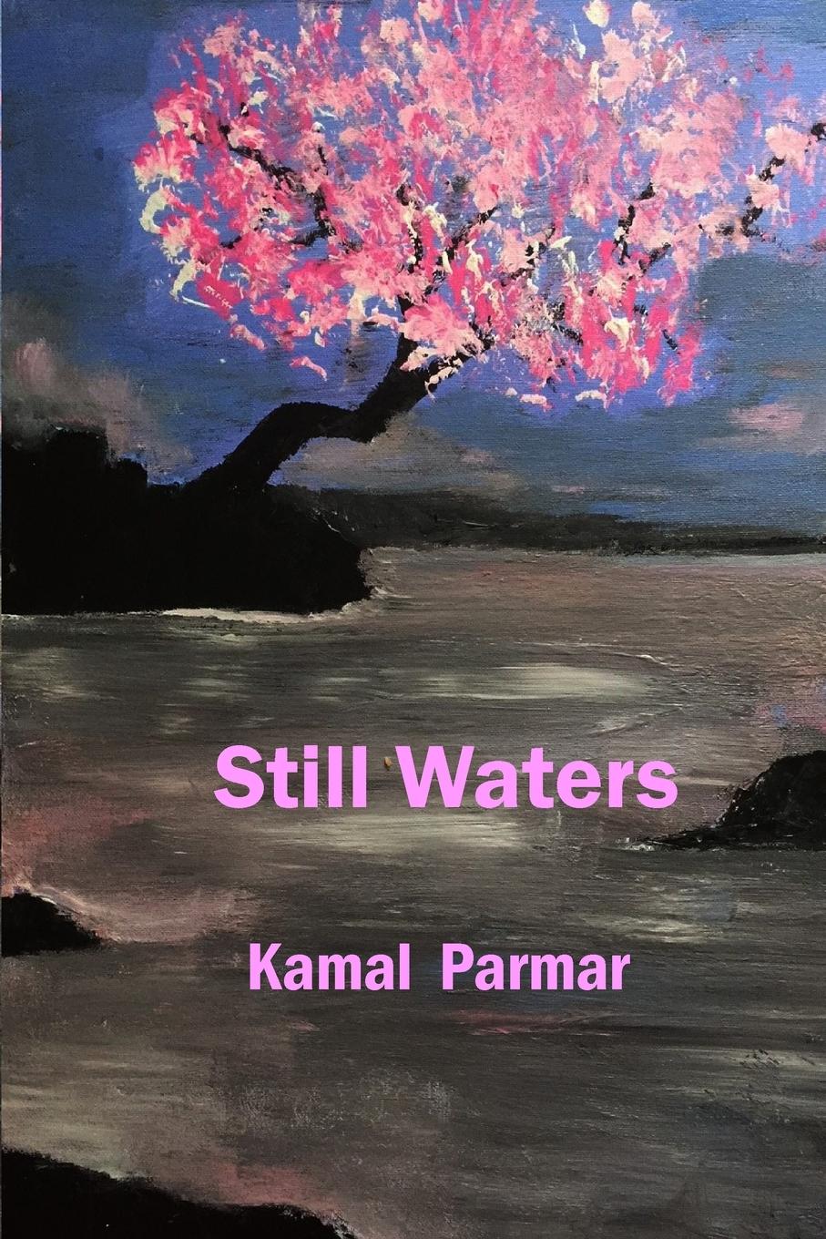 Vorderes Coverbild Still Waters