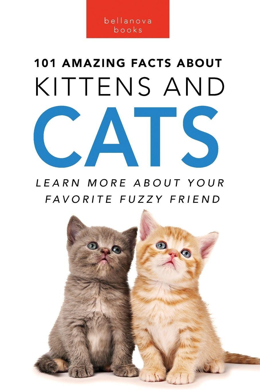 Vorderes Coverbild Cats 101 Amazing Facts about Cats
