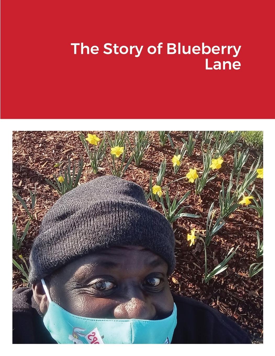 Vorderes Coverbild The Story of Blueberry Lane
