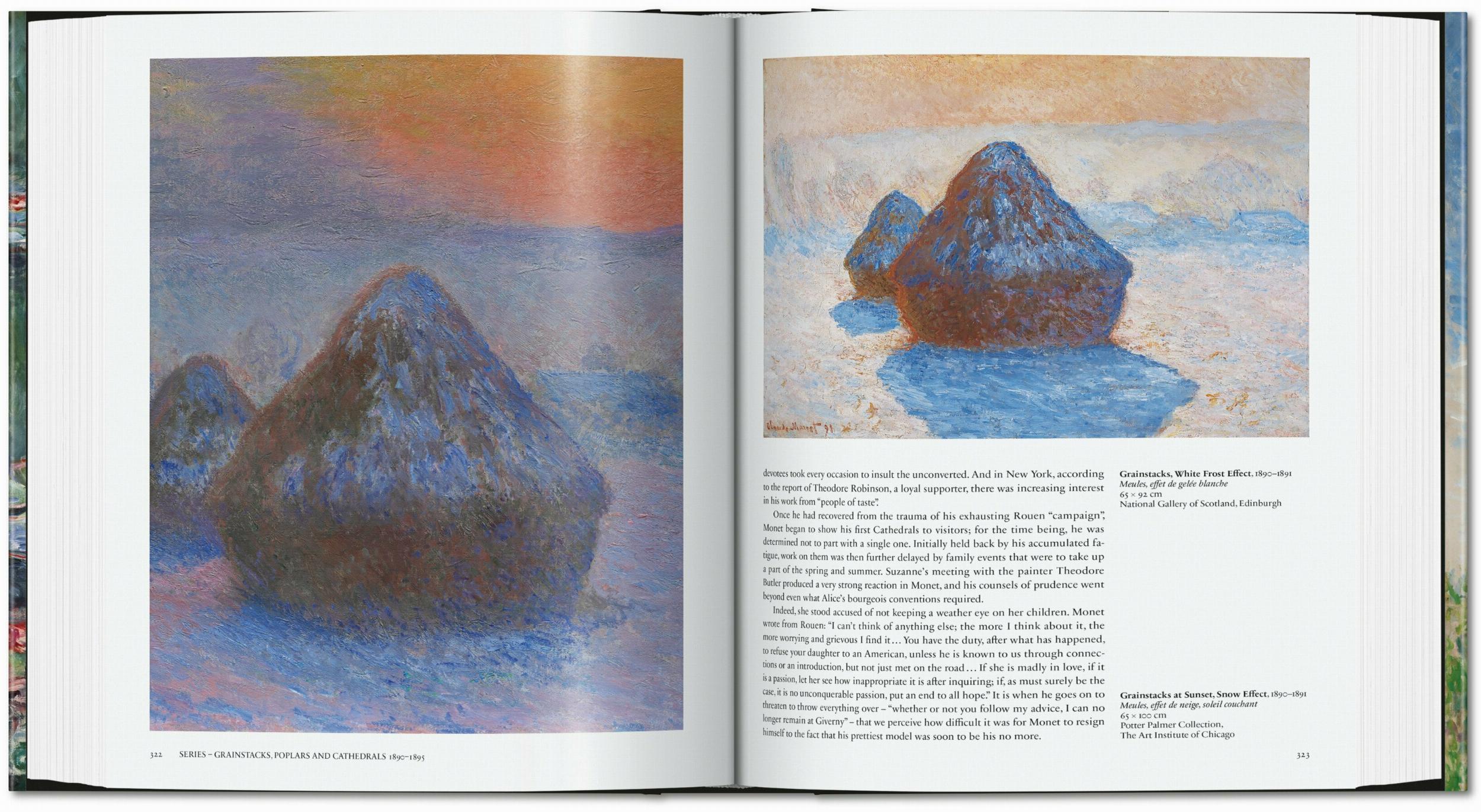 Beispielinhalt (Bild) Monet. The Triumph of Impressionism
