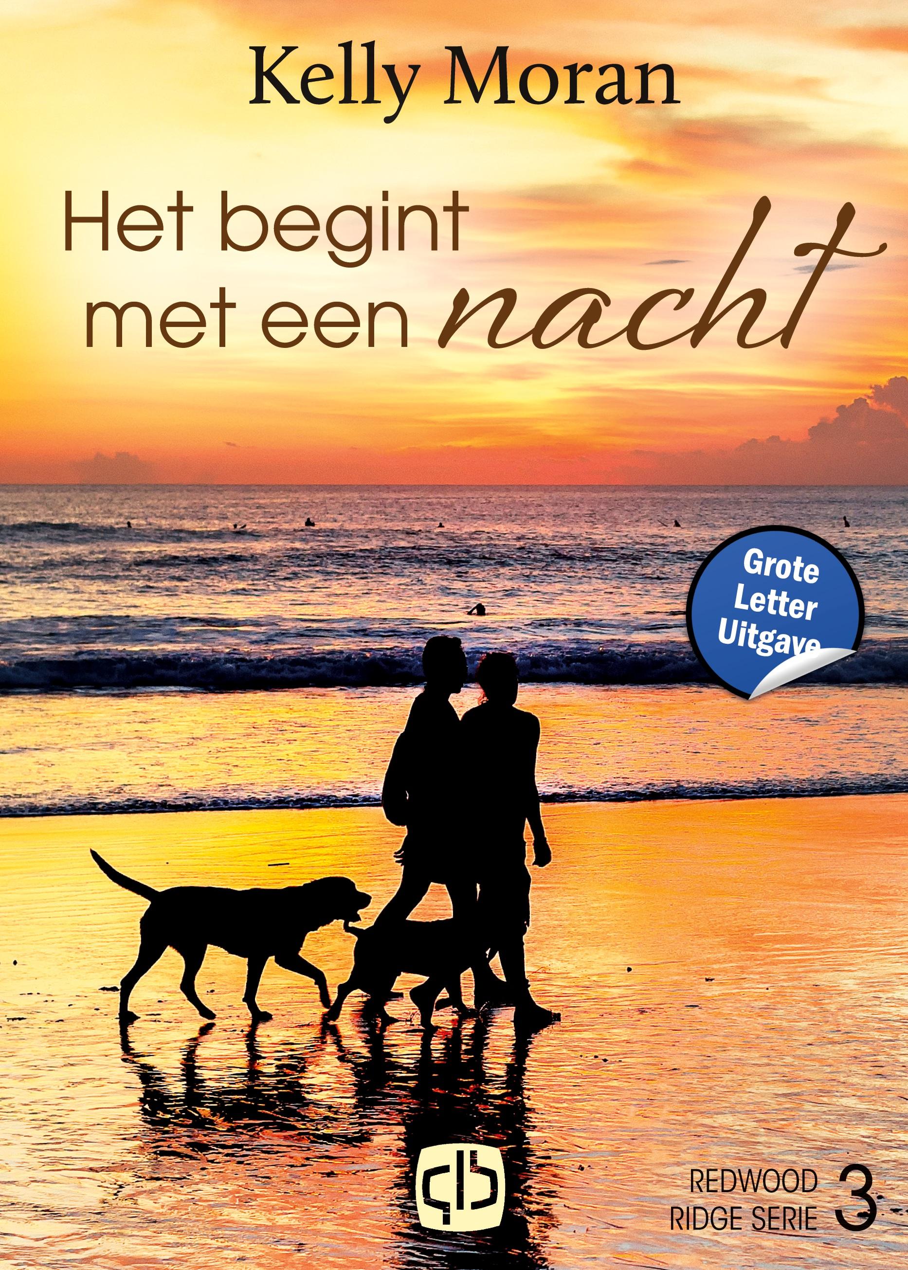 Vorderes Coverbild Het begint met een nacht