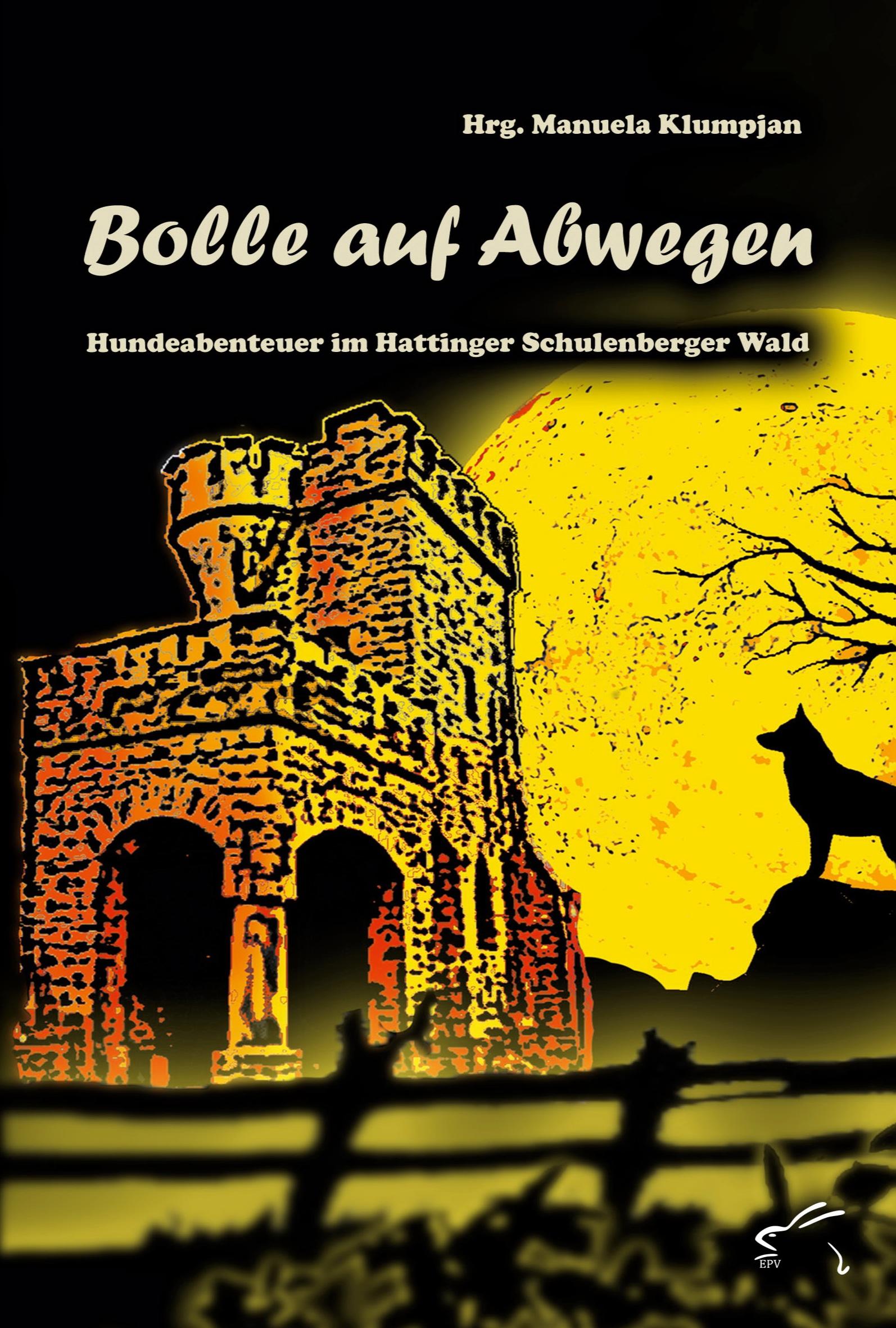 Vorderes Coverbild Bolle auf Abwegen