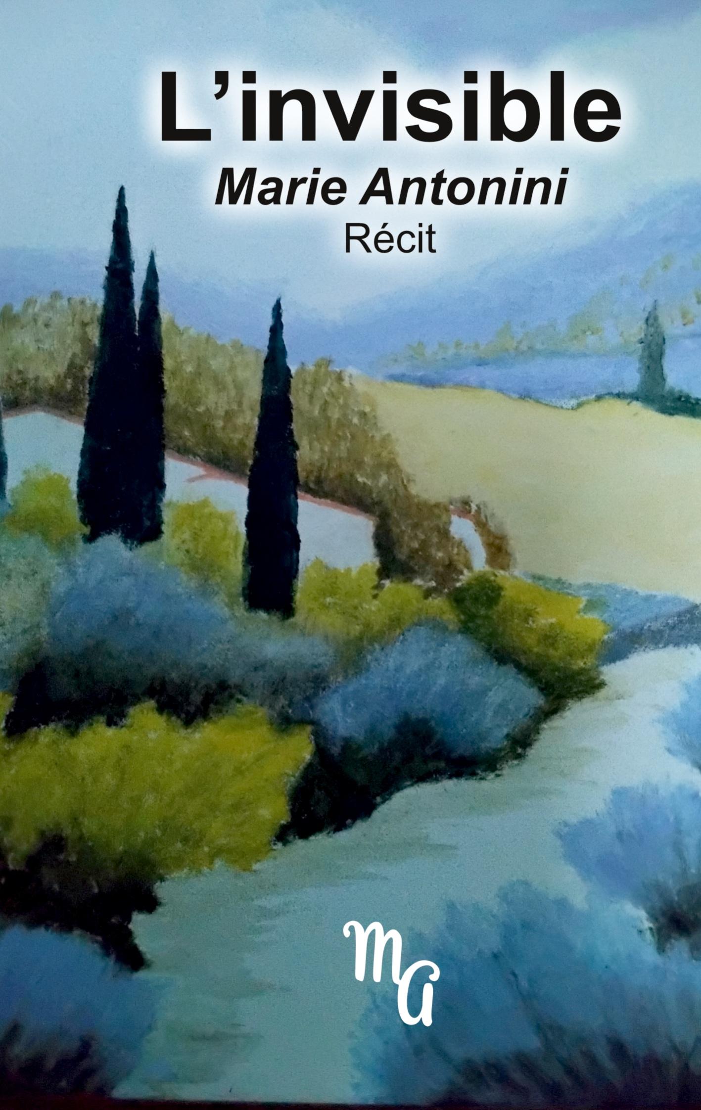 Vorderes Coverbild L'invisible