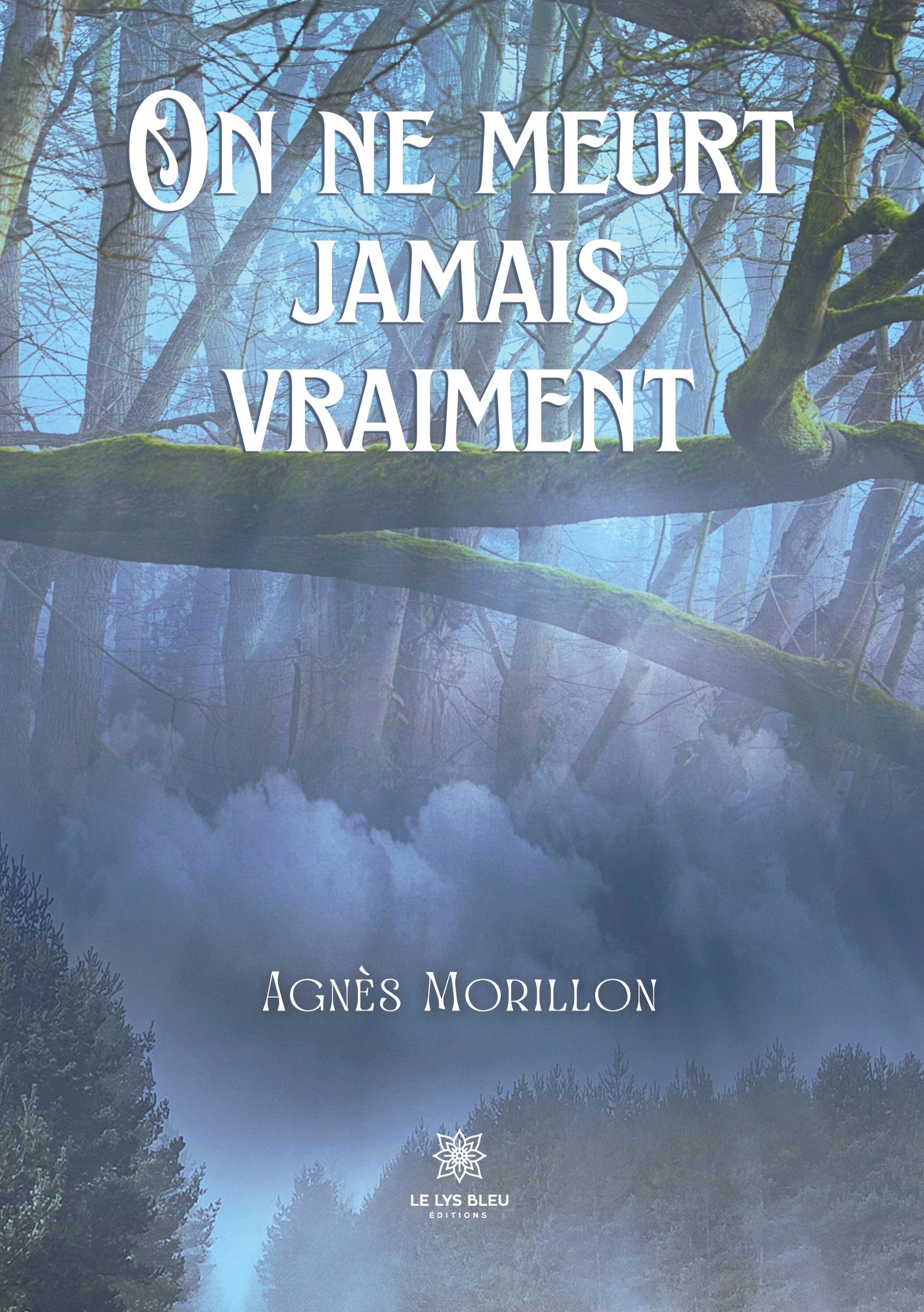 Vorderes Coverbild On ne meurt jamais vraiment