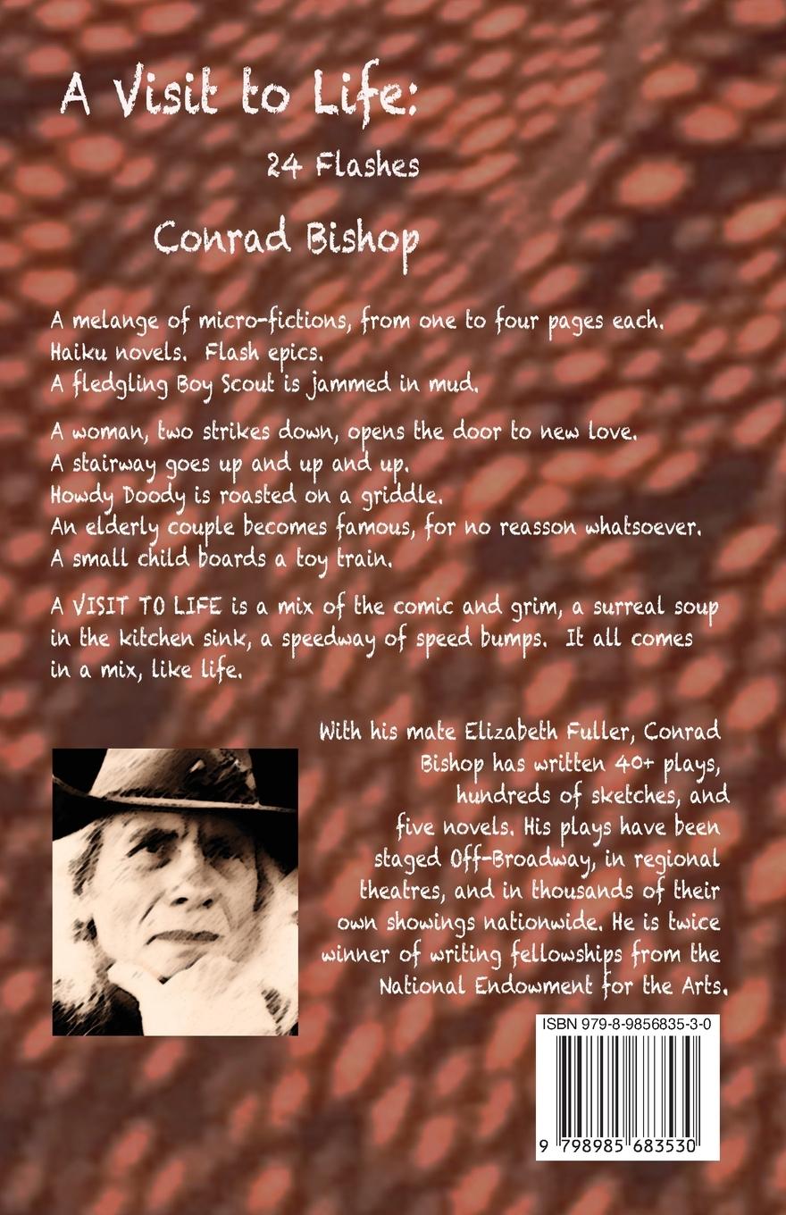 Rückseitencover A Visit to Life