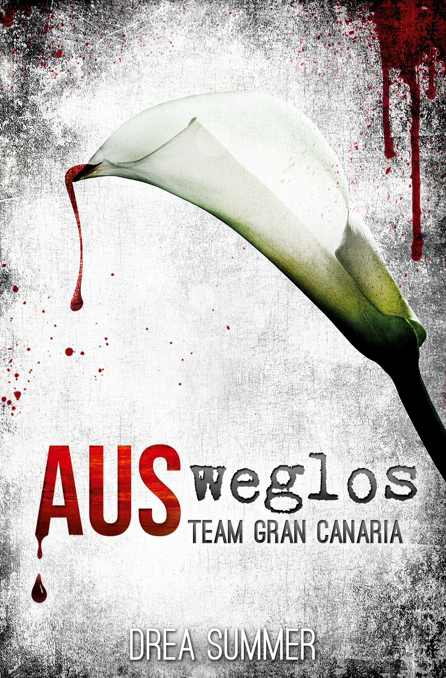 Vorderes Coverbild AUSweglos