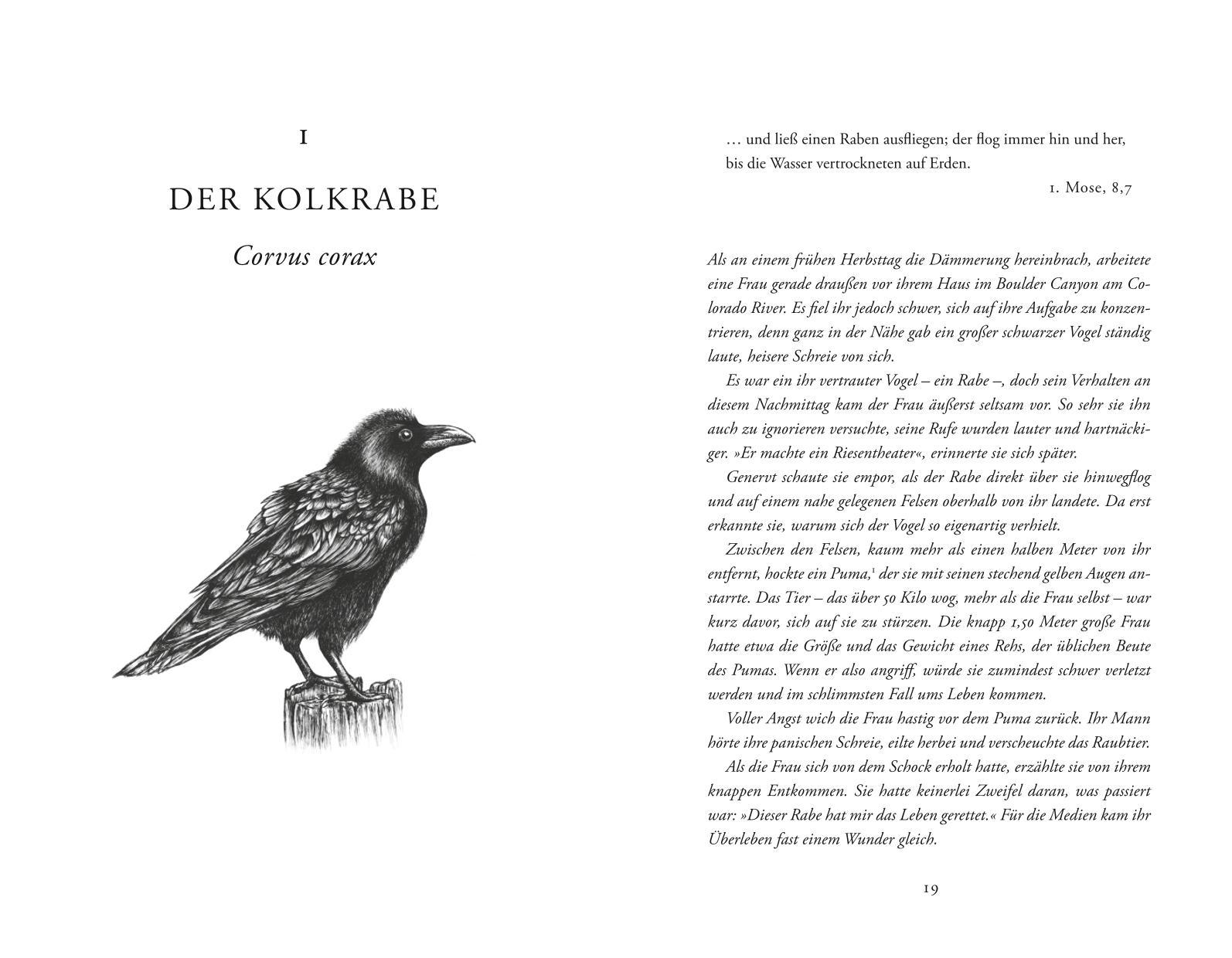 Beispielinhalt (Bild) Wie zehn Vögel die Welt veränderten
