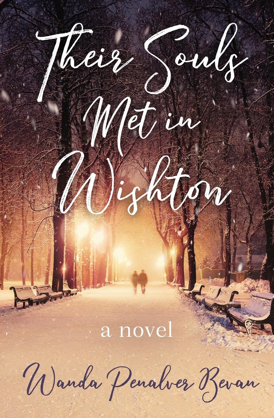 Vorderes Coverbild Their Souls Met in Wishton