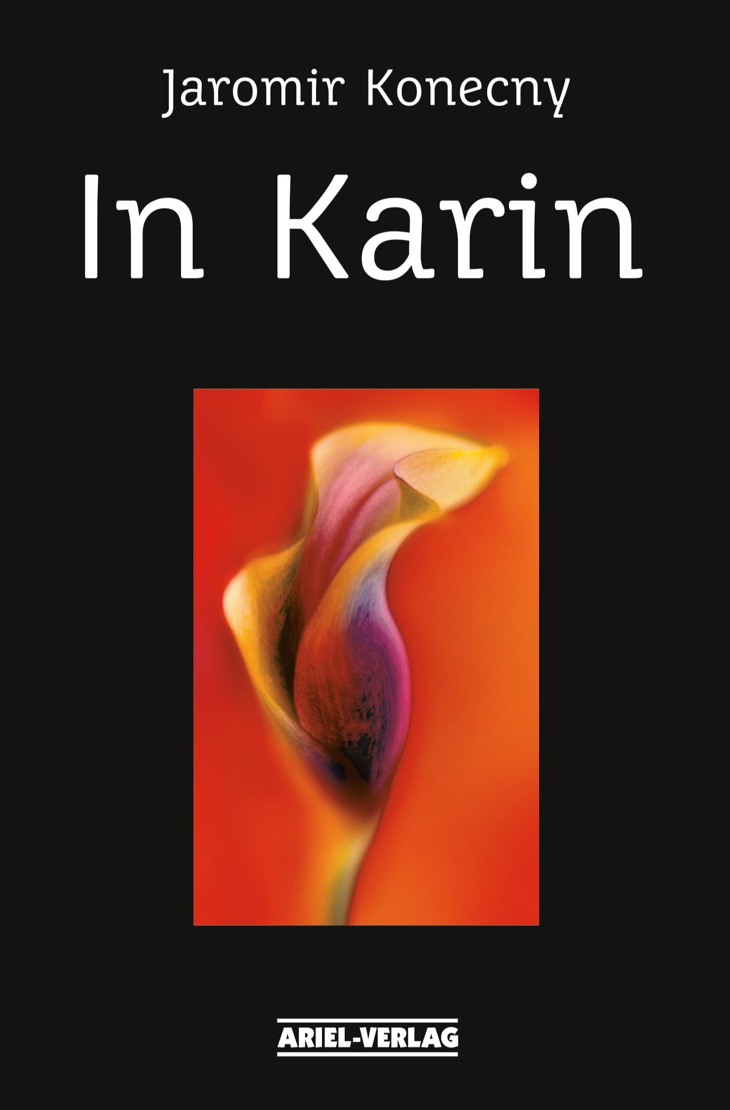 Vorderes Coverbild In Karin