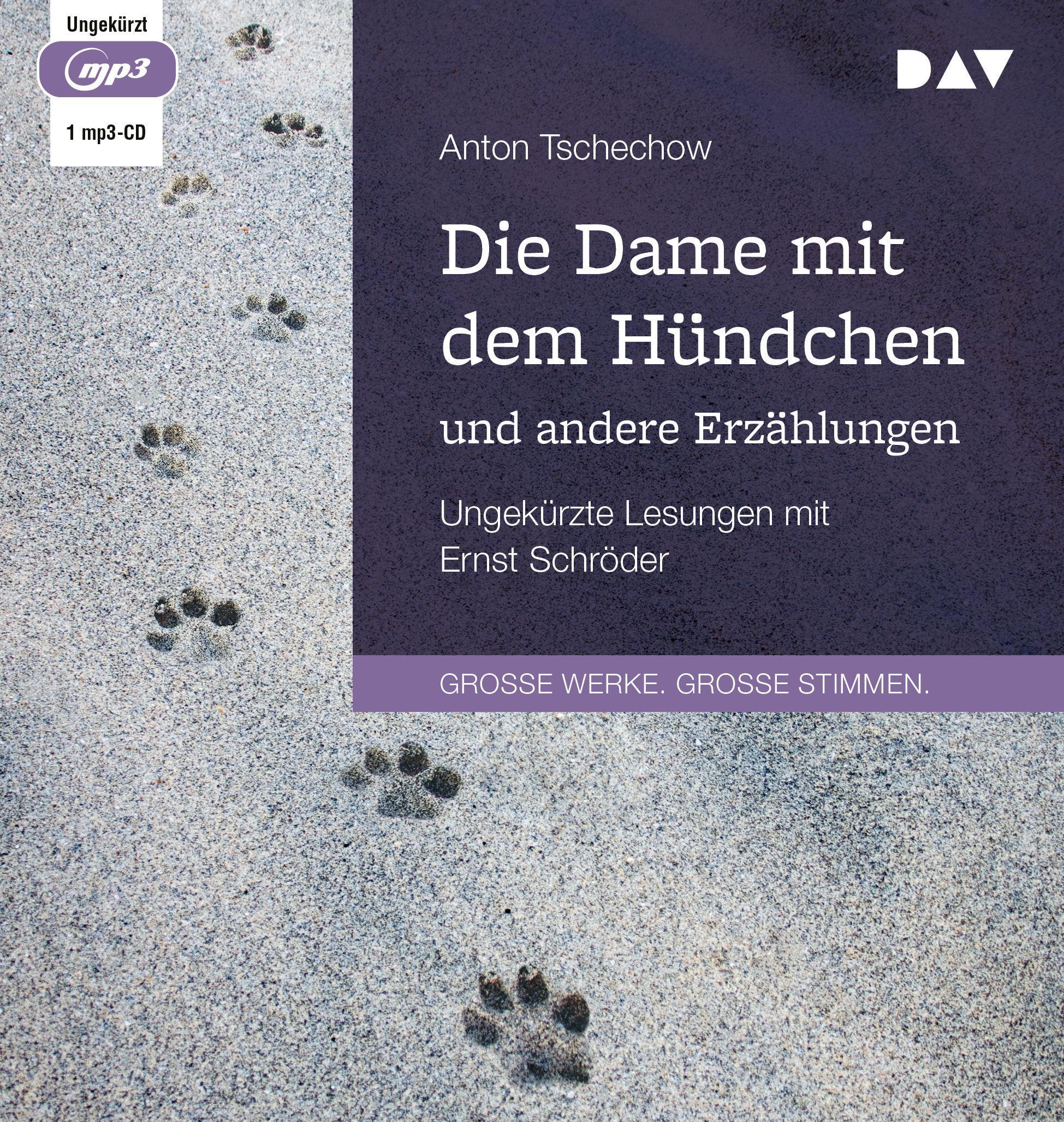 Vorderes Coverbild Die Dame mit dem Hündchen und andere Erzählungen