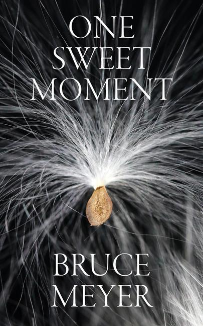 Vorderes Coverbild One Sweet Moment