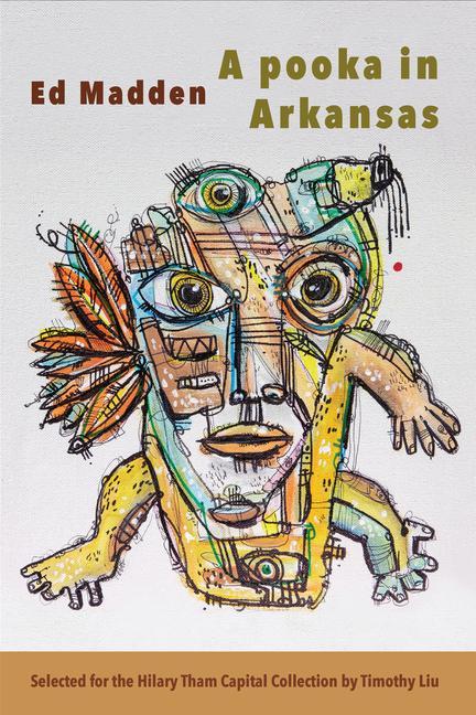 Vorderes Coverbild A pooka in Arkansas