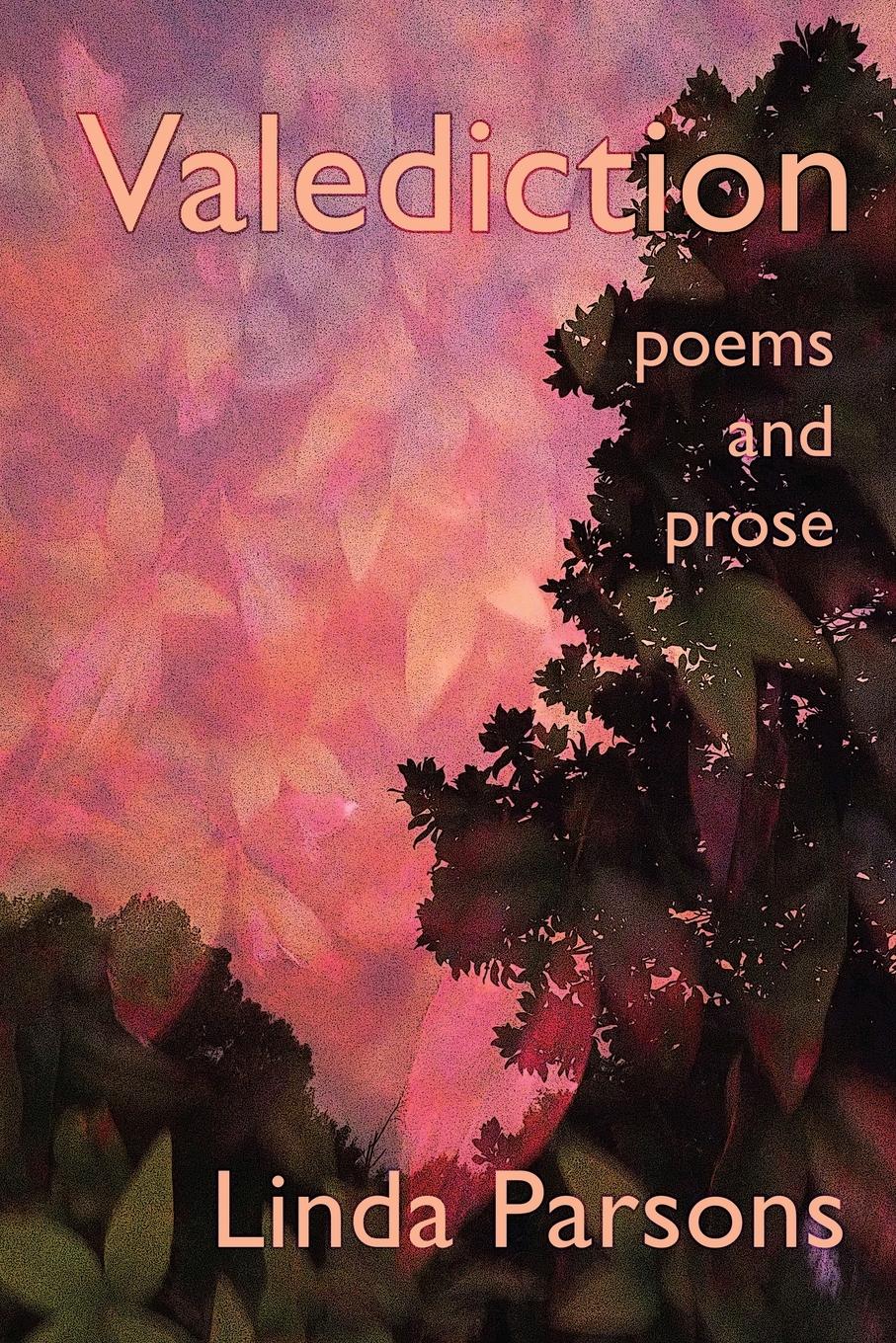 Vorderes Coverbild Valediction