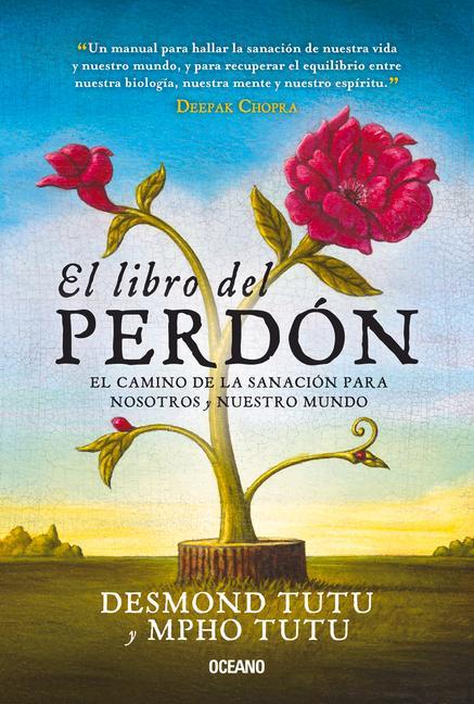 Vorderes Coverbild El Libro del Perdón
