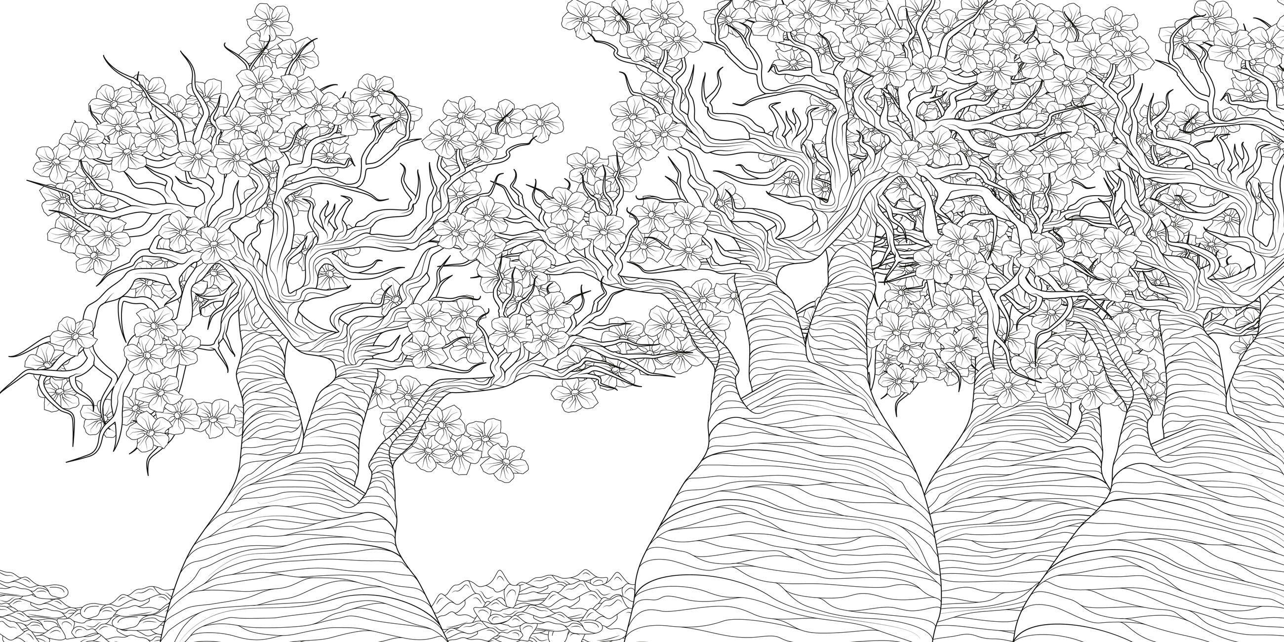 Beispielinhalt (Bild) The Splendor of Trees Coloring Book