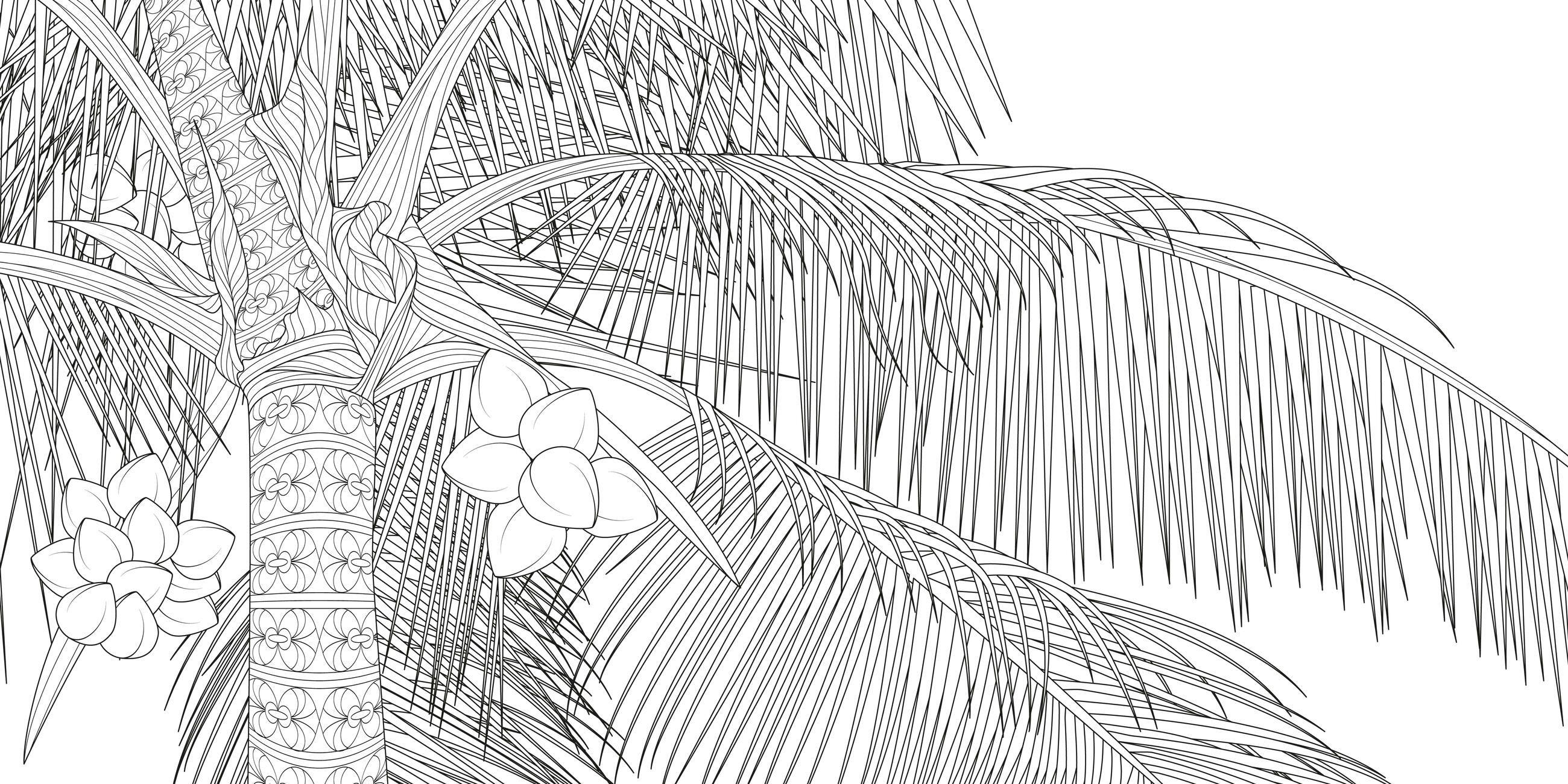 Beispielinhalt (Bild) The Splendor of Trees Coloring Book