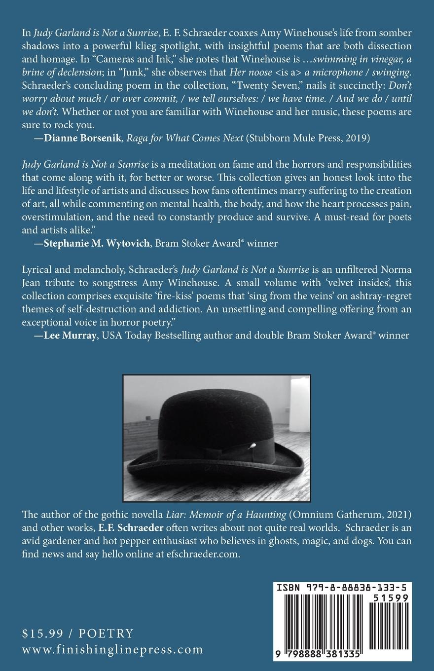 Rückseitencover Judy Garland is Not a Sunrise