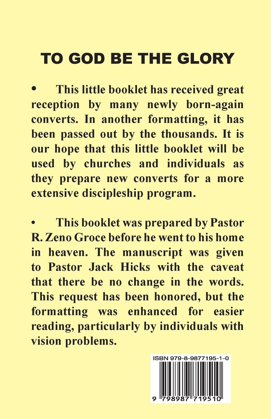 Rückseitencover For the New Convert