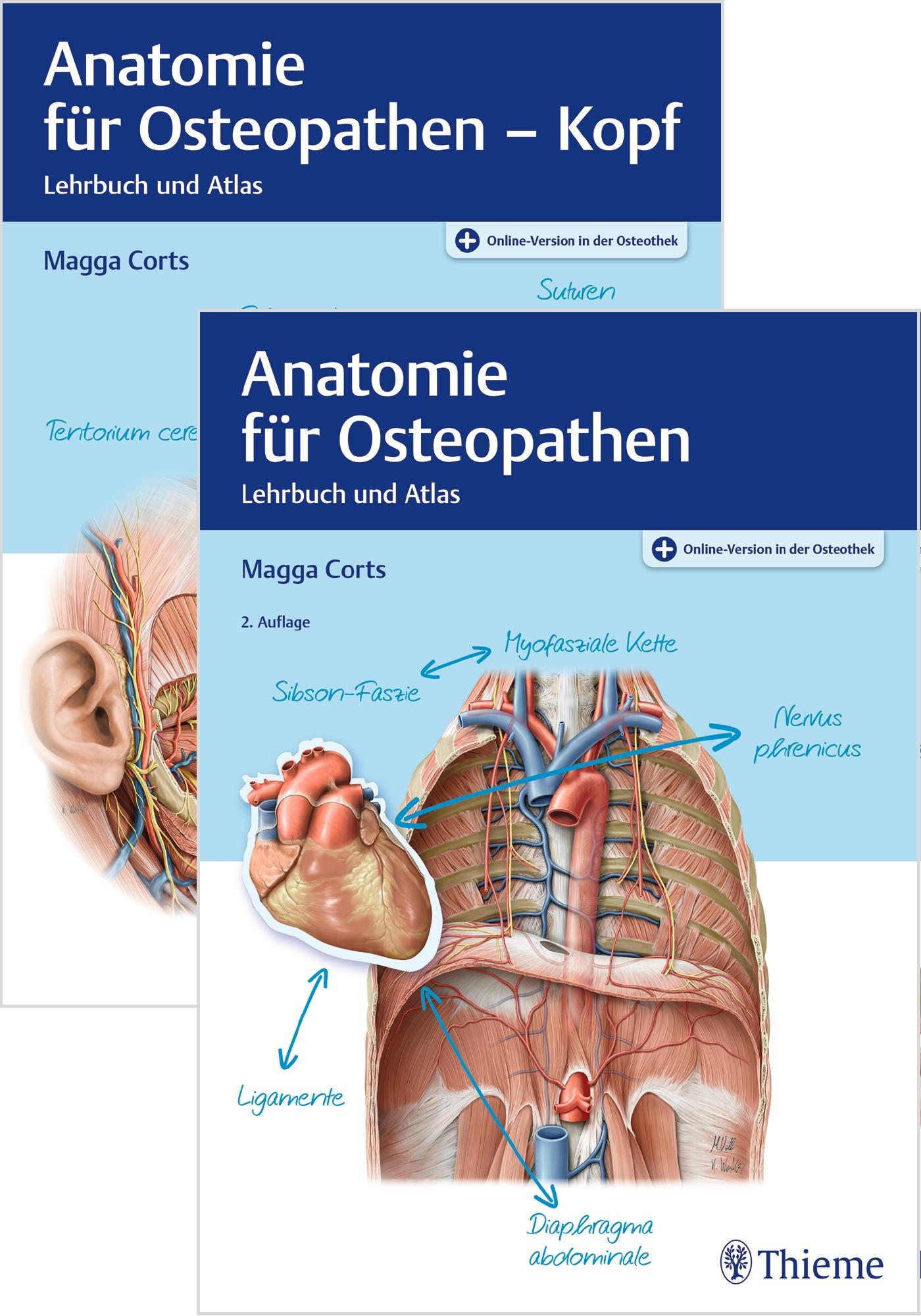 Vorderes Coverbild Set Anatomie für Osteopathen