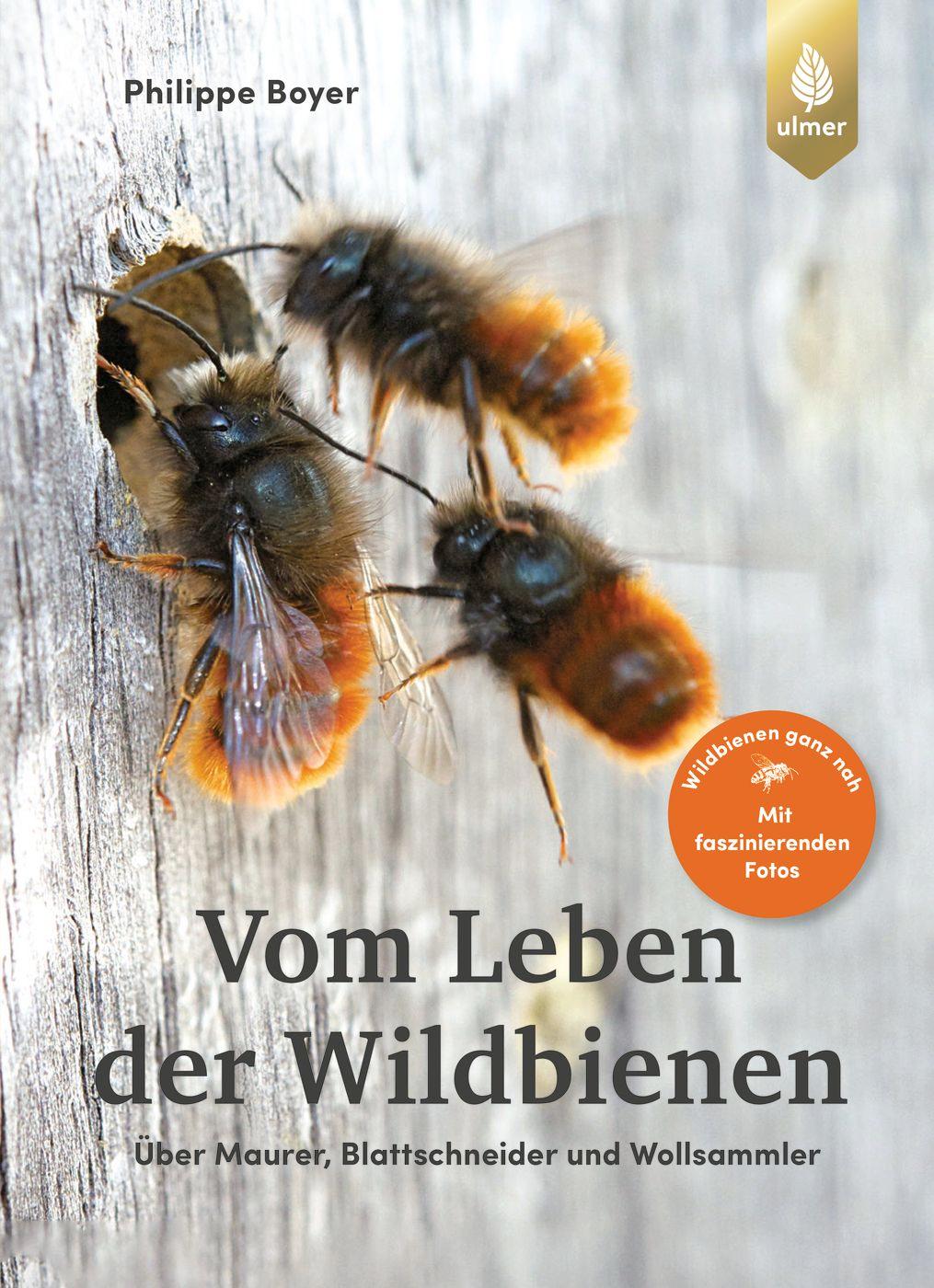 Vorderes Coverbild Vom Leben der Wildbienen