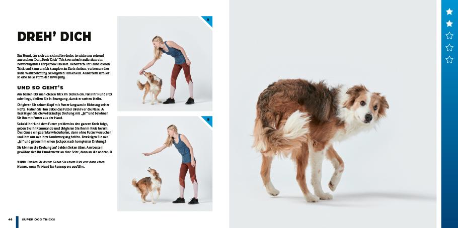 Beispielinhalt (Bild) Super Dog Tricks