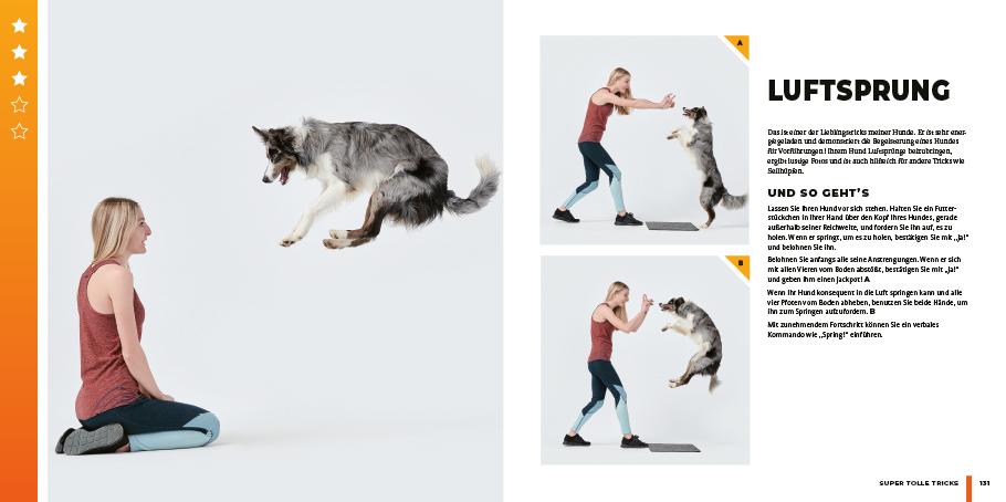 Beispielinhalt (Bild) Super Dog Tricks