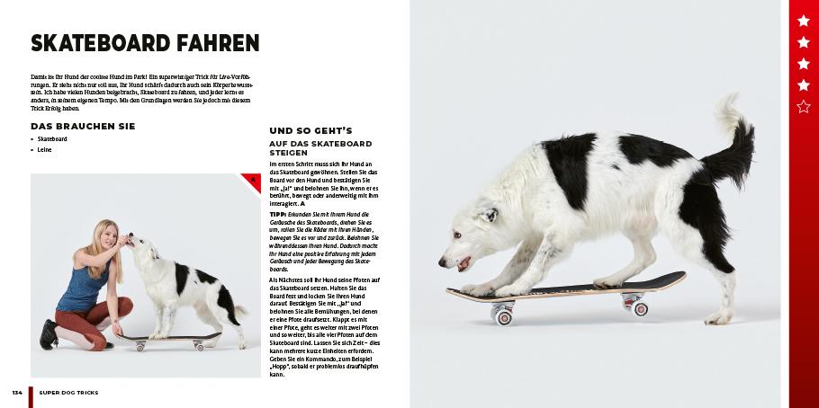 Beispielinhalt (Bild) Super Dog Tricks