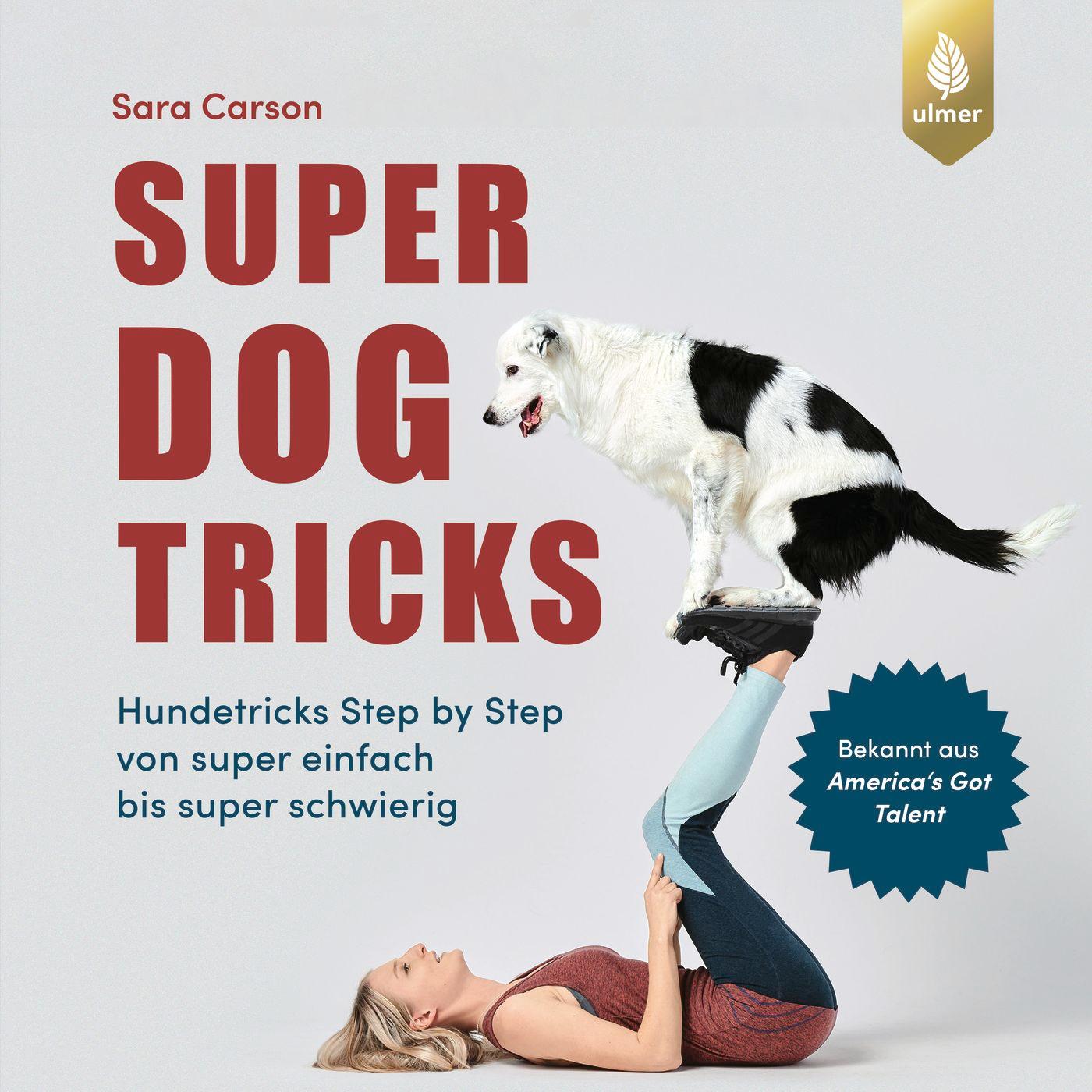 Vorderes Coverbild Super Dog Tricks