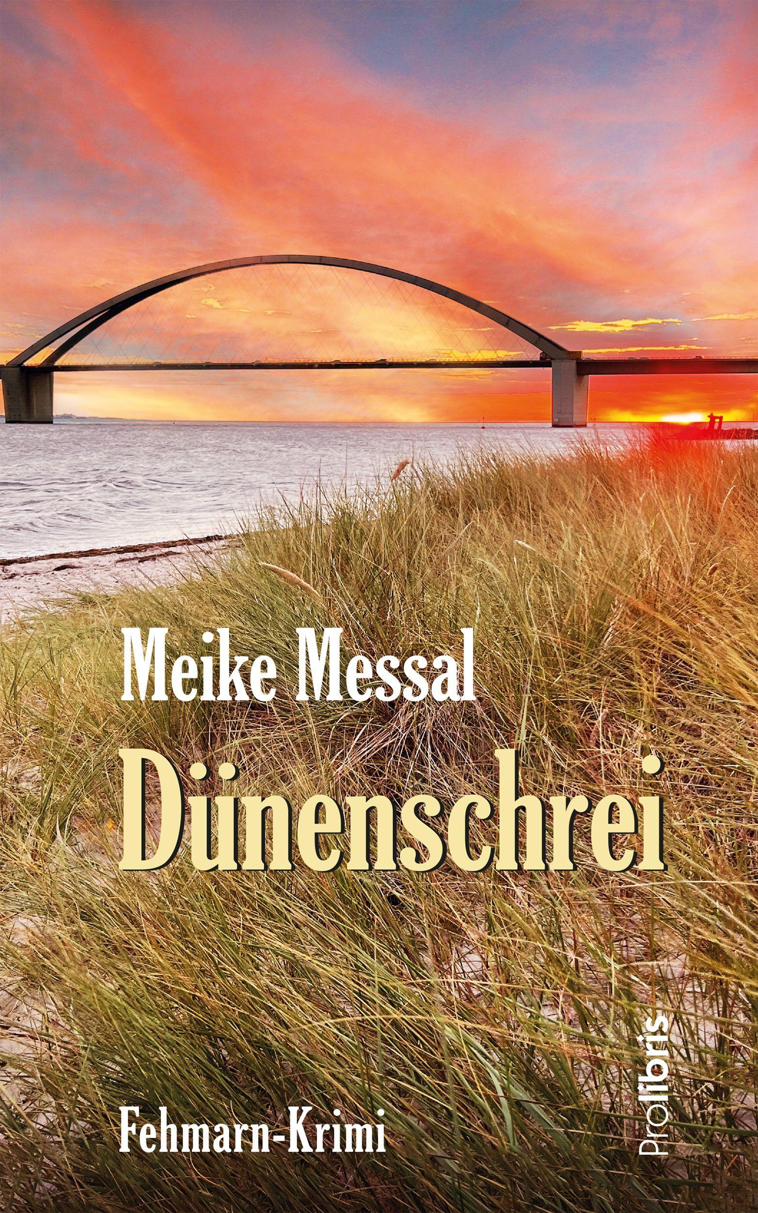 Vorderes Coverbild Dünenschrei