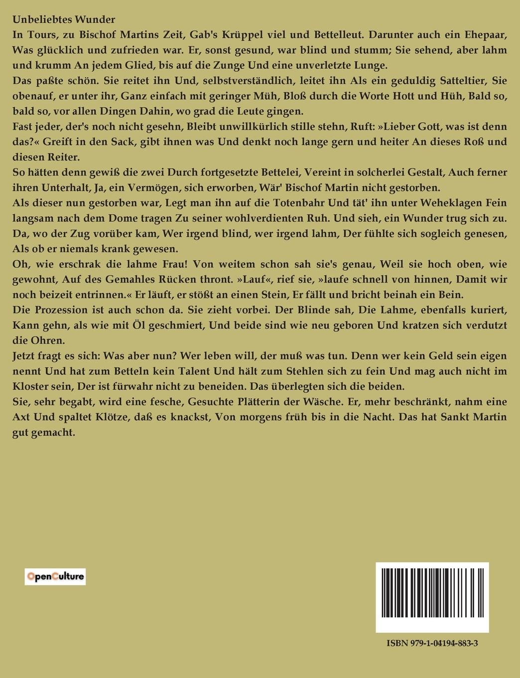 Rückseitencover Schein und Sein