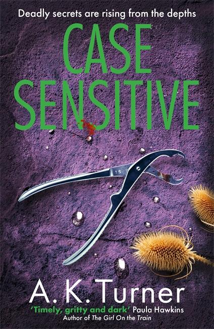 Vorderes Coverbild Case Sensitive