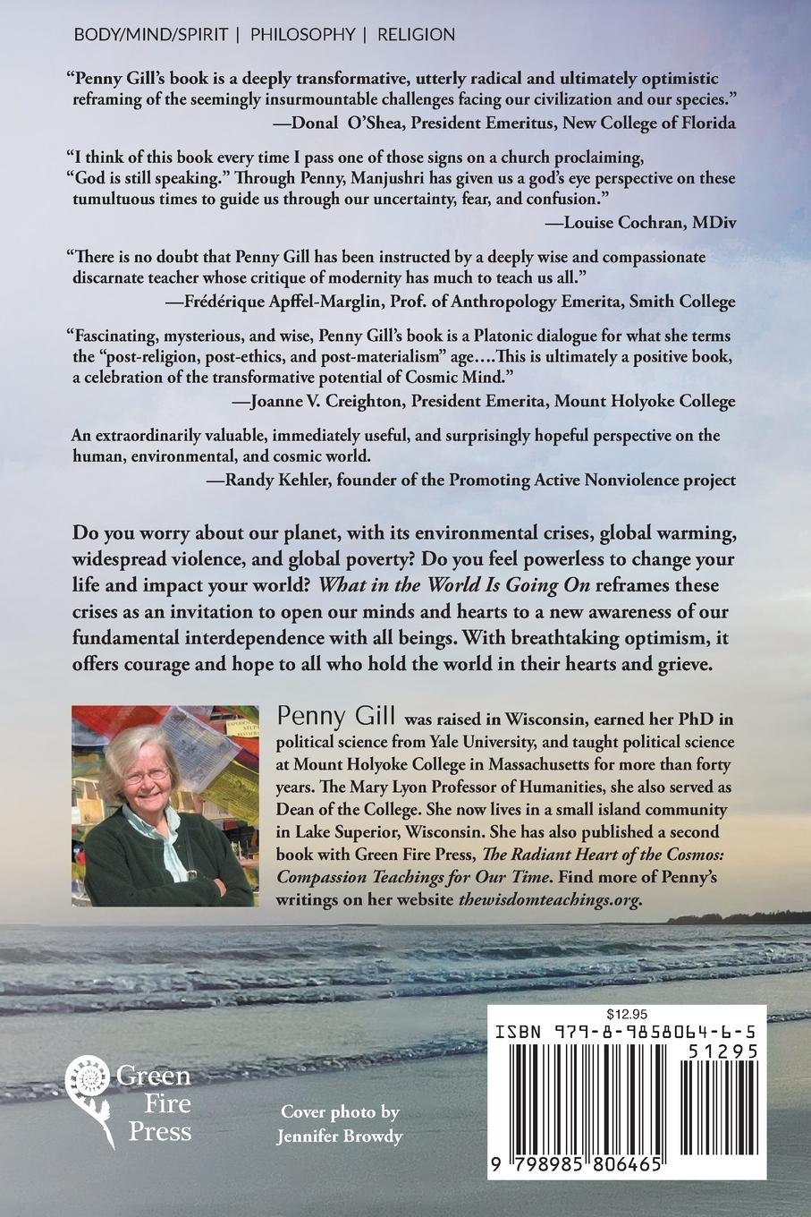 Rückseitencover What in the World is Going On?