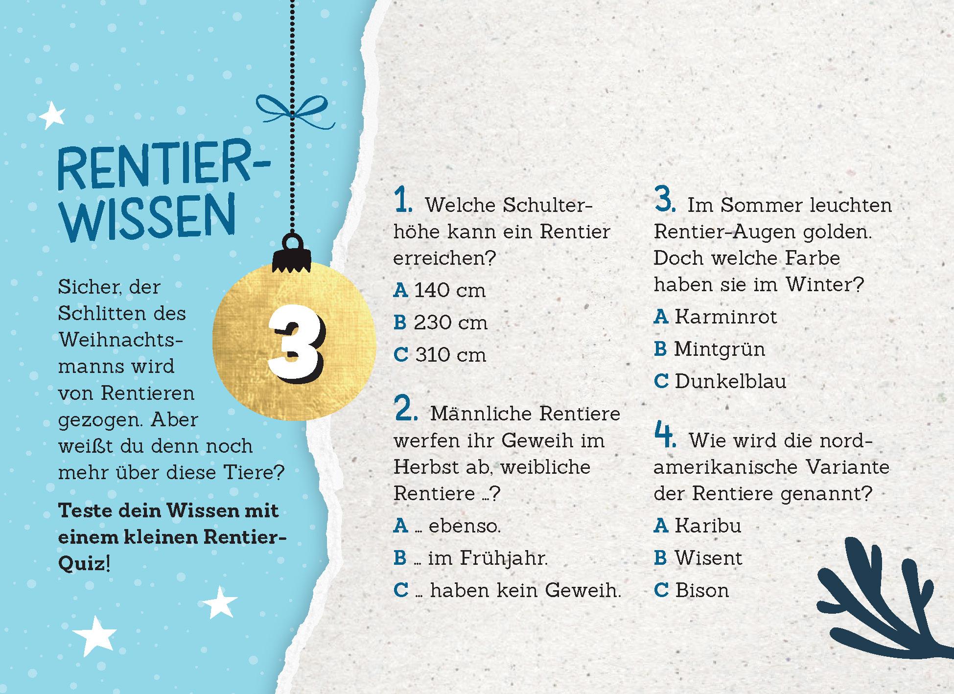 Beispielinhalt (Bild) 24 Adventsrätsel | Die perfekte Ablenkung vom Weihnachtsstress