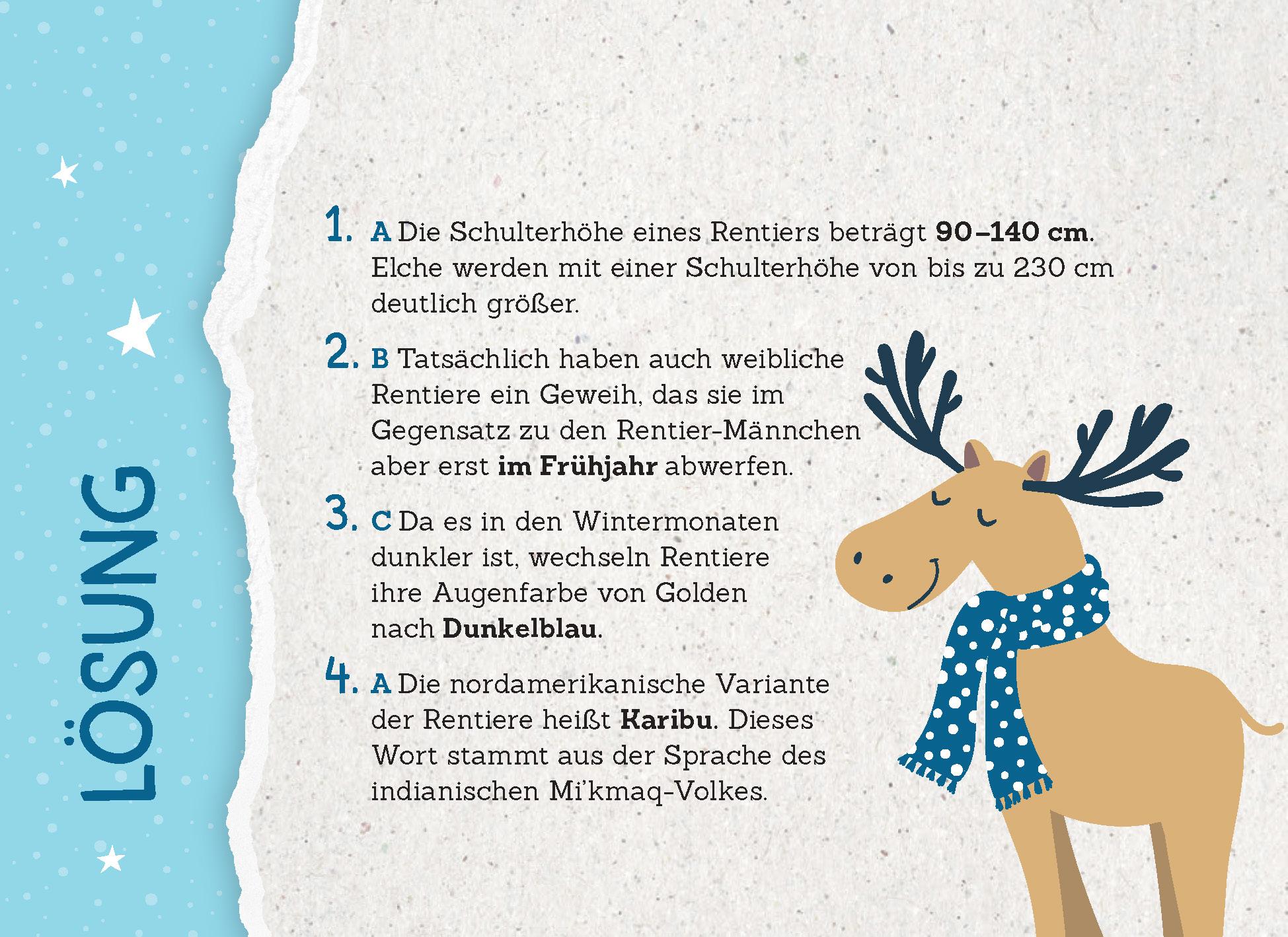 Beispielinhalt (Bild) 24 Adventsrätsel | Die perfekte Ablenkung vom Weihnachtsstress