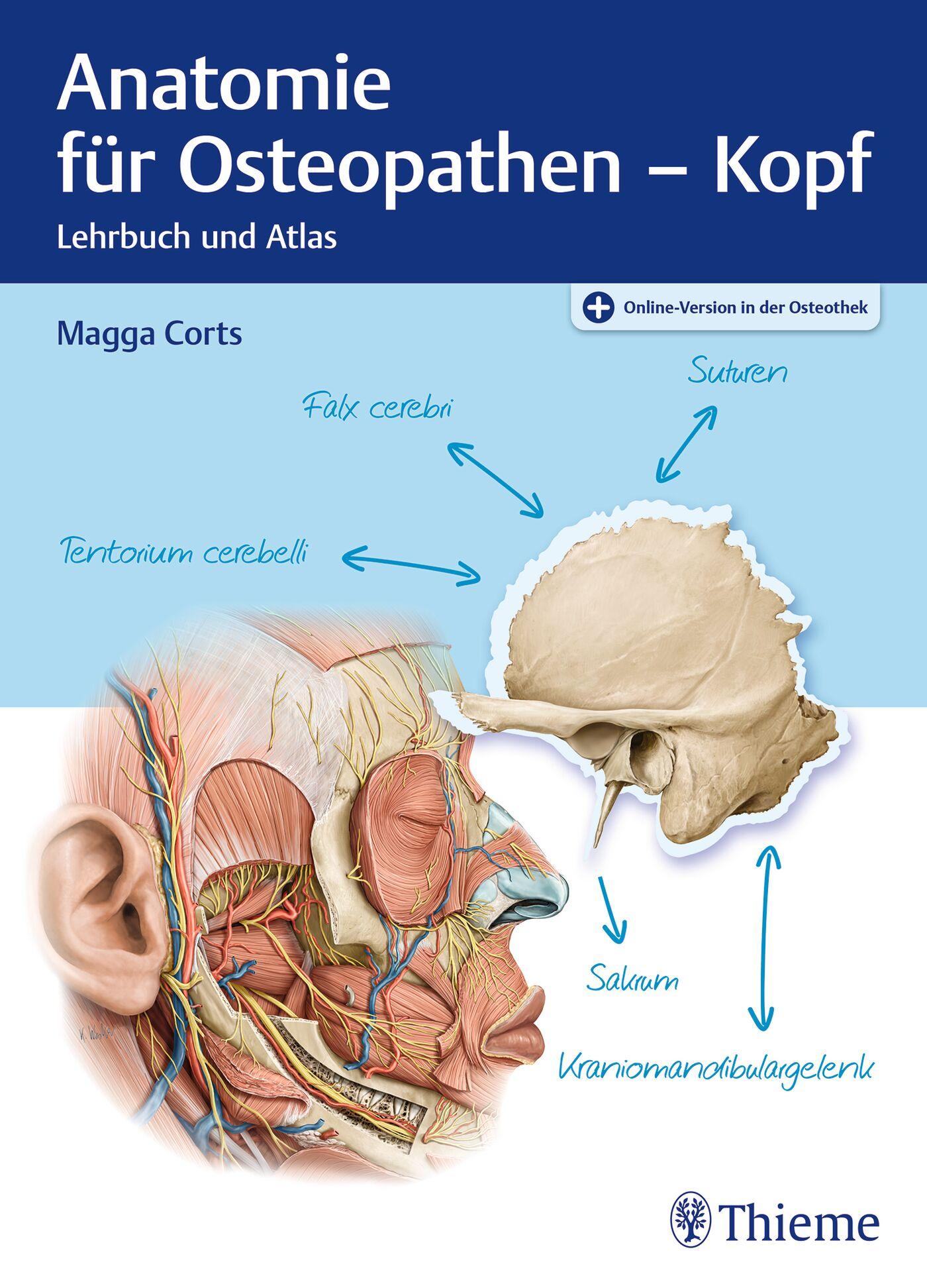Vorderes Coverbild Anatomie für Osteopathen - Kopf