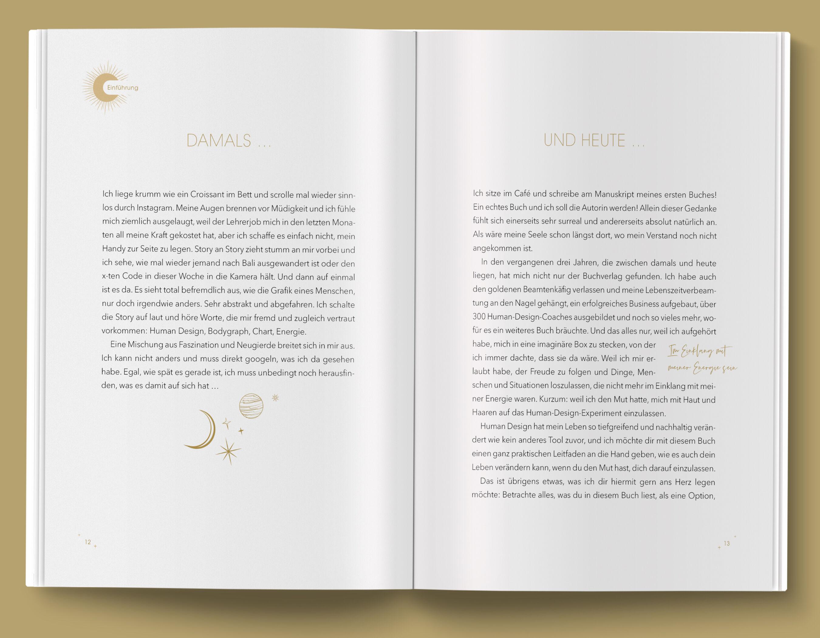 Beispielinhalt (Bild) Human Design