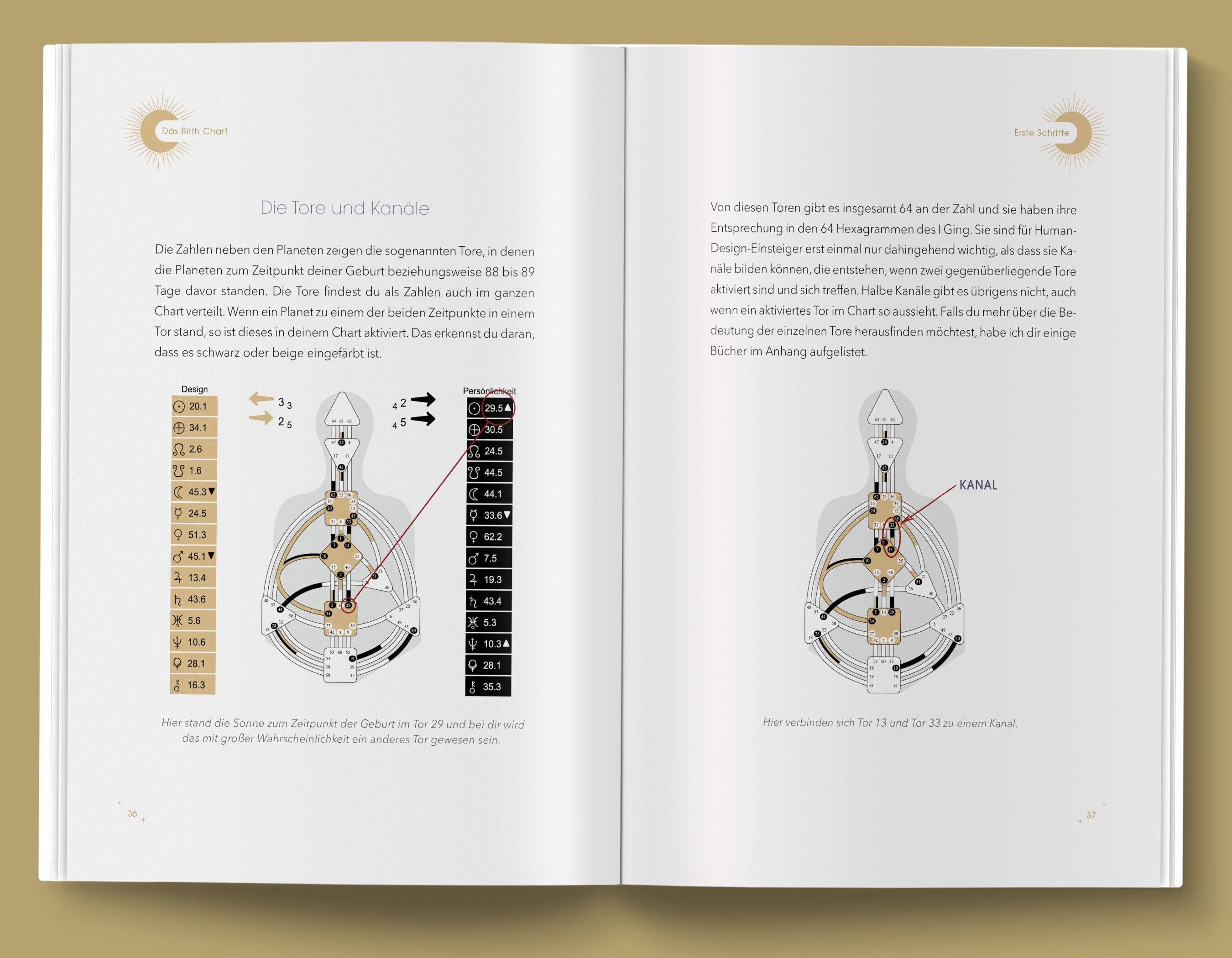 Beispielinhalt (Bild) Human Design