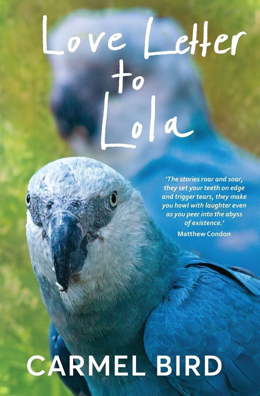 Vorderes Coverbild Love Letter to Lola