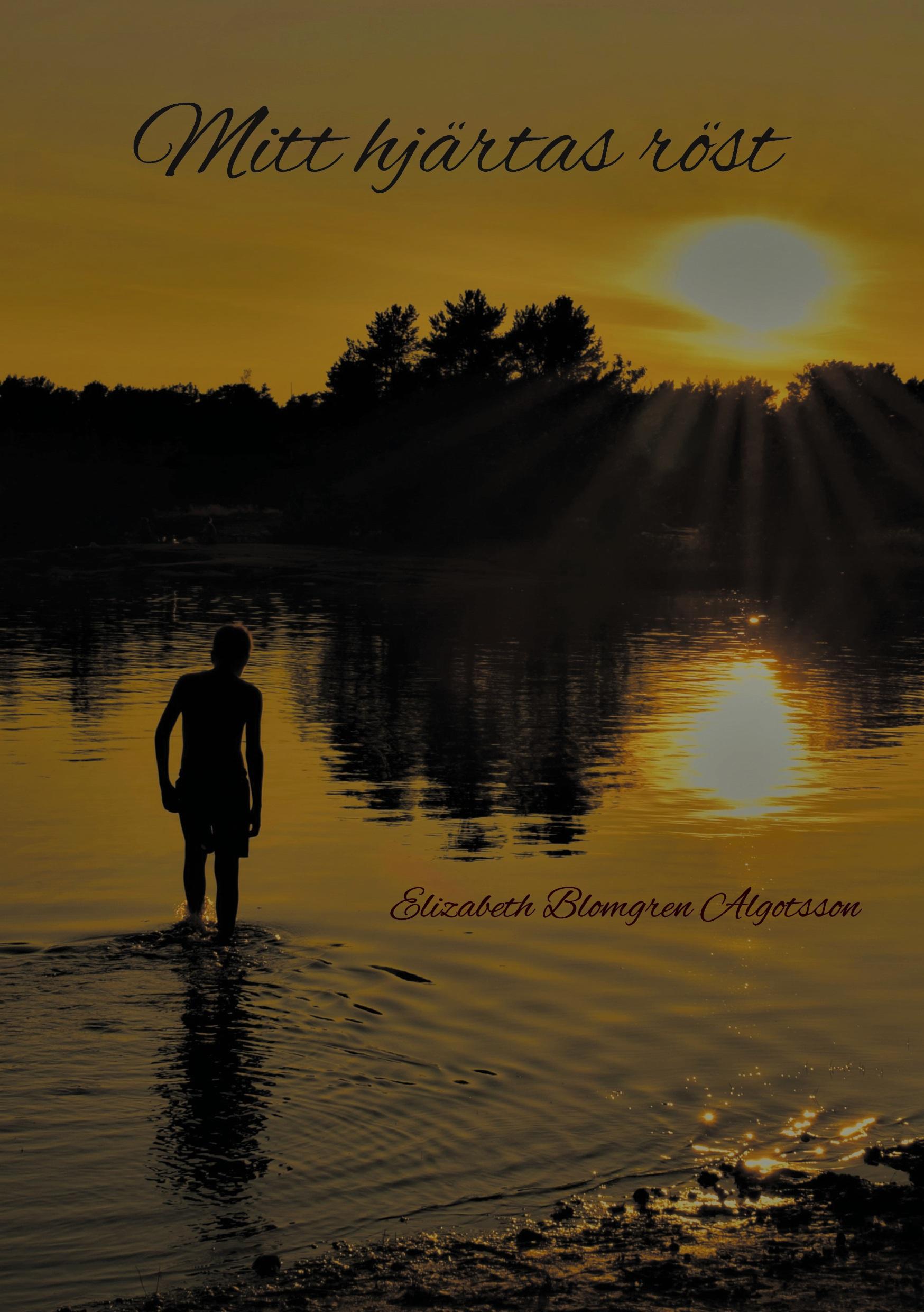 Vorderes Coverbild The Believer's Experience