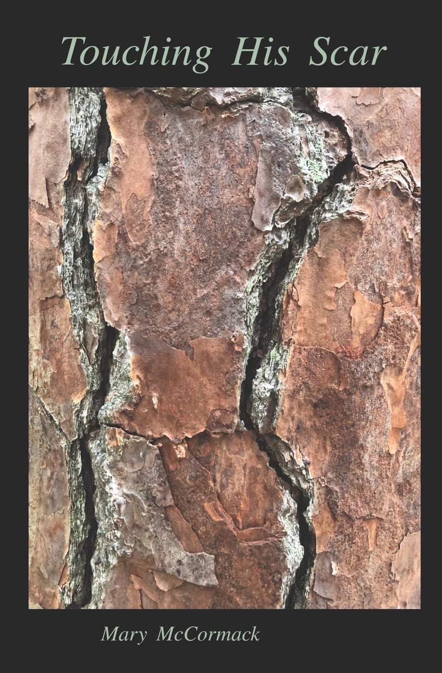 Vorderes Coverbild Touching His Scar