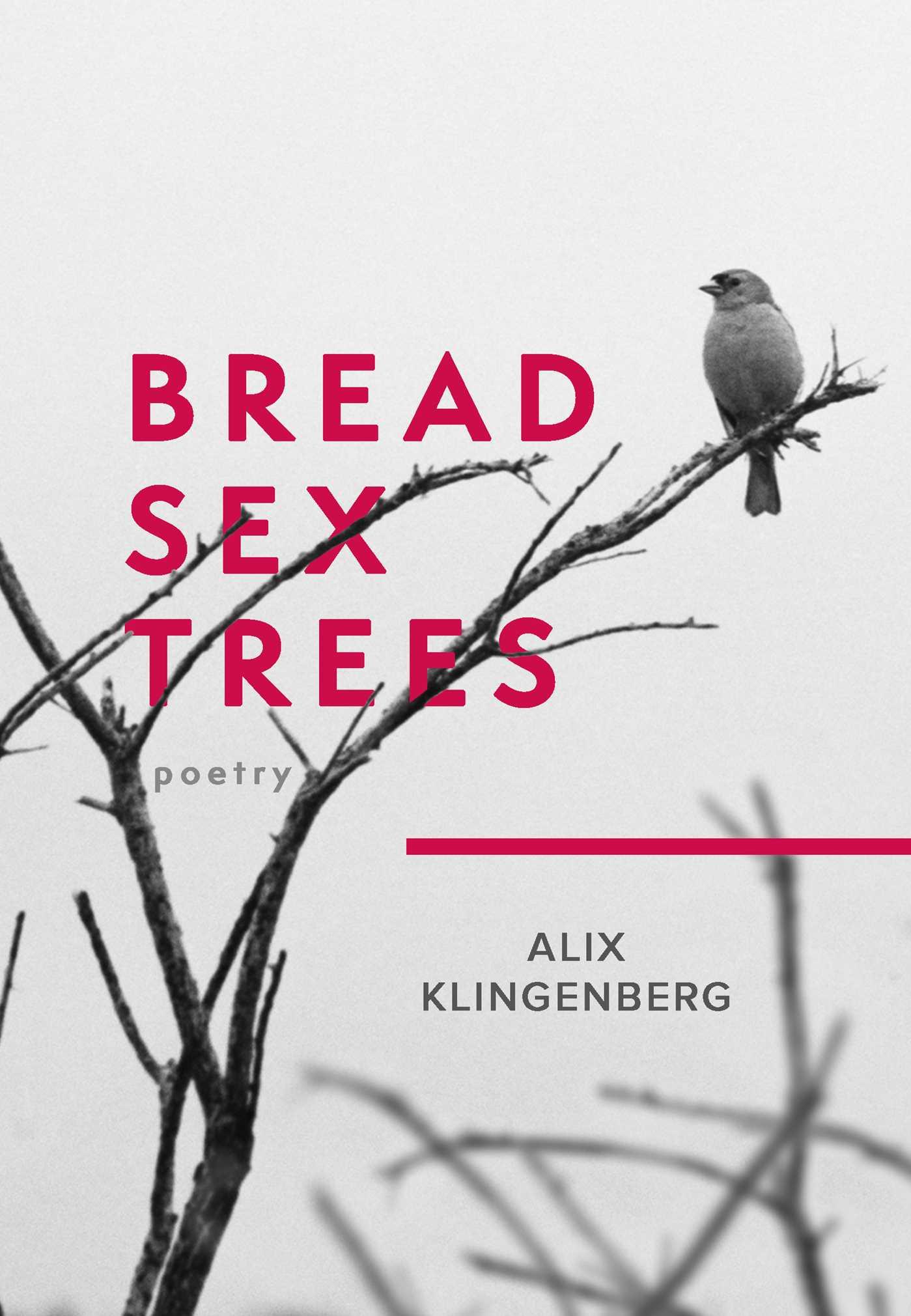 Vorderes Coverbild Bread Sex Trees