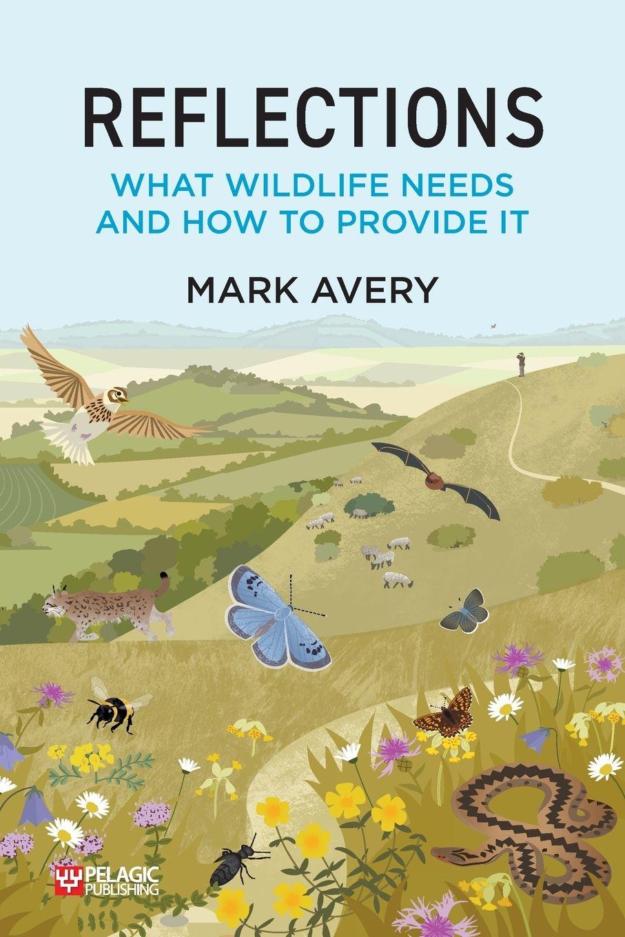 Vorderes Coverbild Reflections