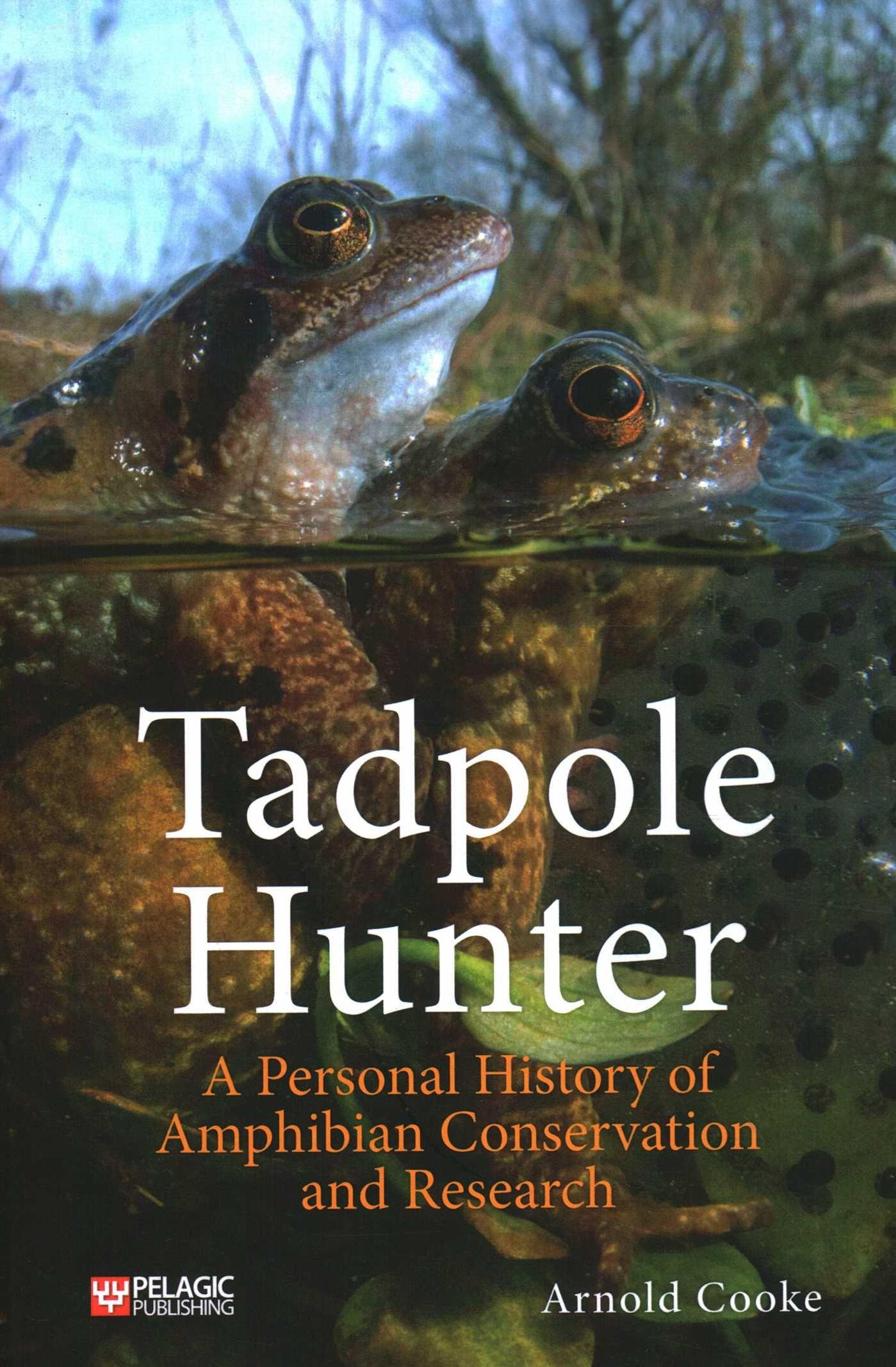 Vorderes Coverbild Tadpole Hunter