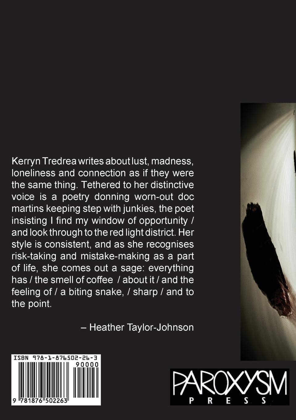 Rückseitencover this is no ordinary rapture...