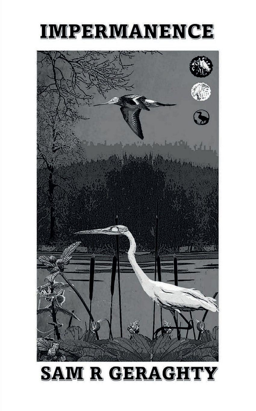 Vorderes Coverbild Impermanence